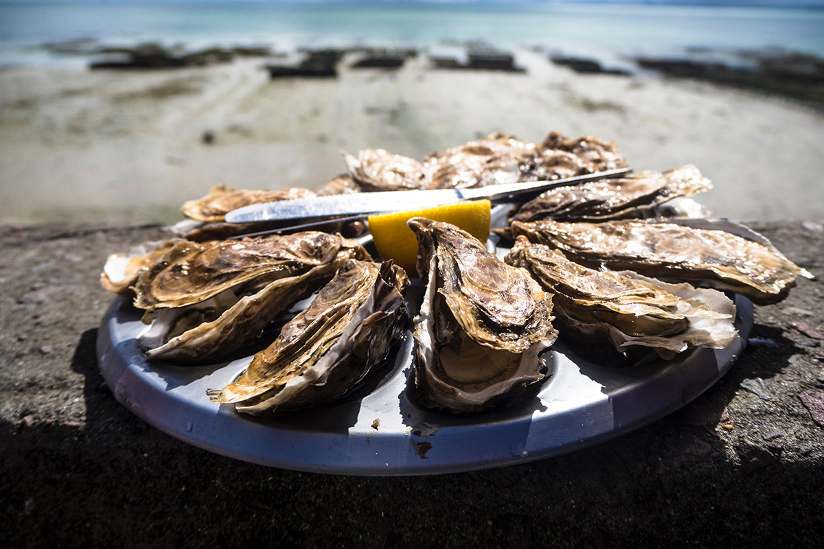 Oysters (©Tommaso Cantelli)