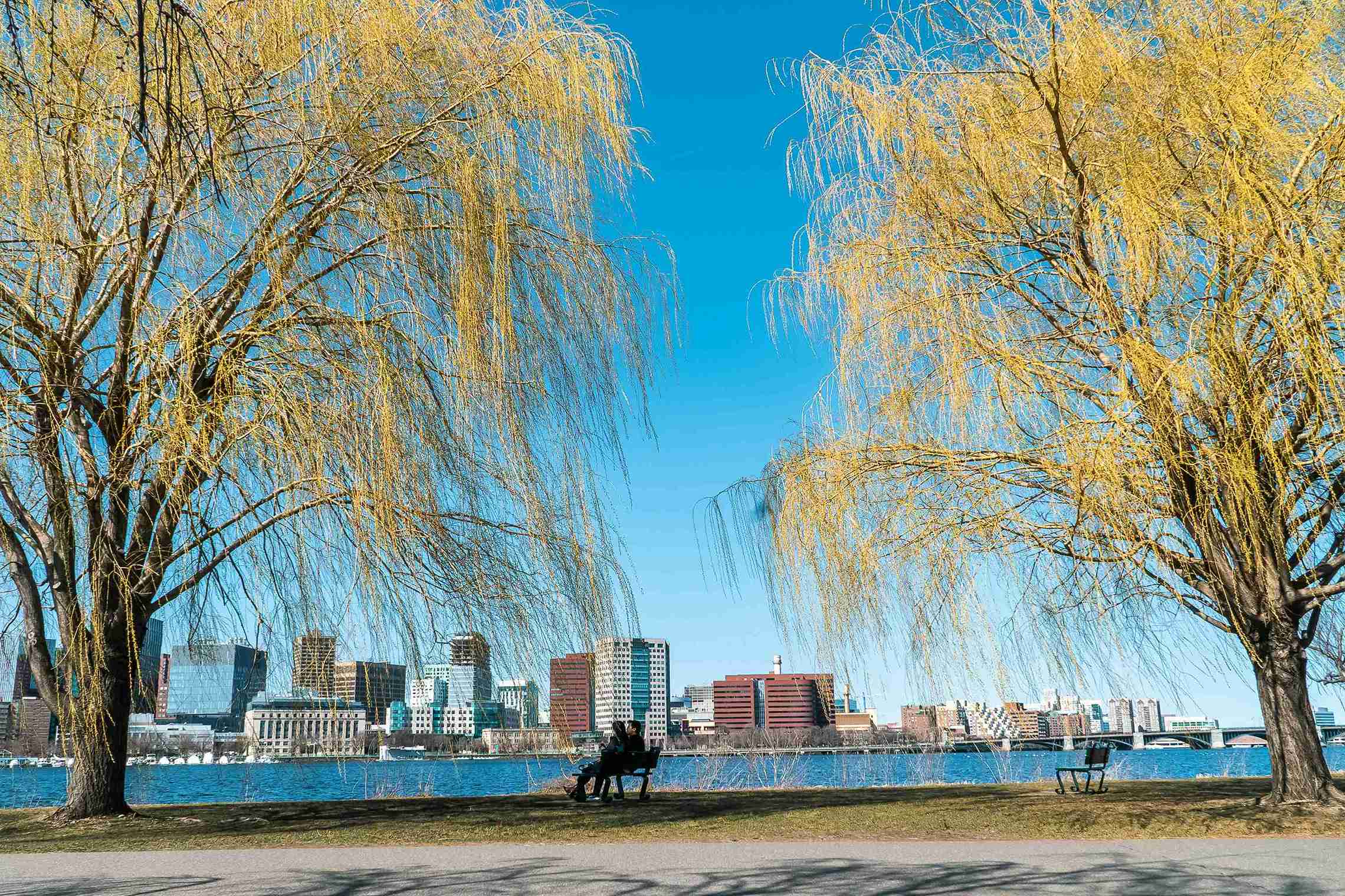 Charles River Esplanade (©Vanessa Sezini)
