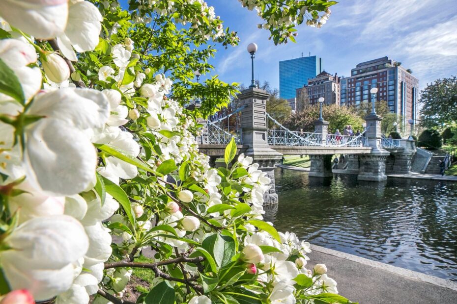 Boston Public Garden (©Kyle Klein)