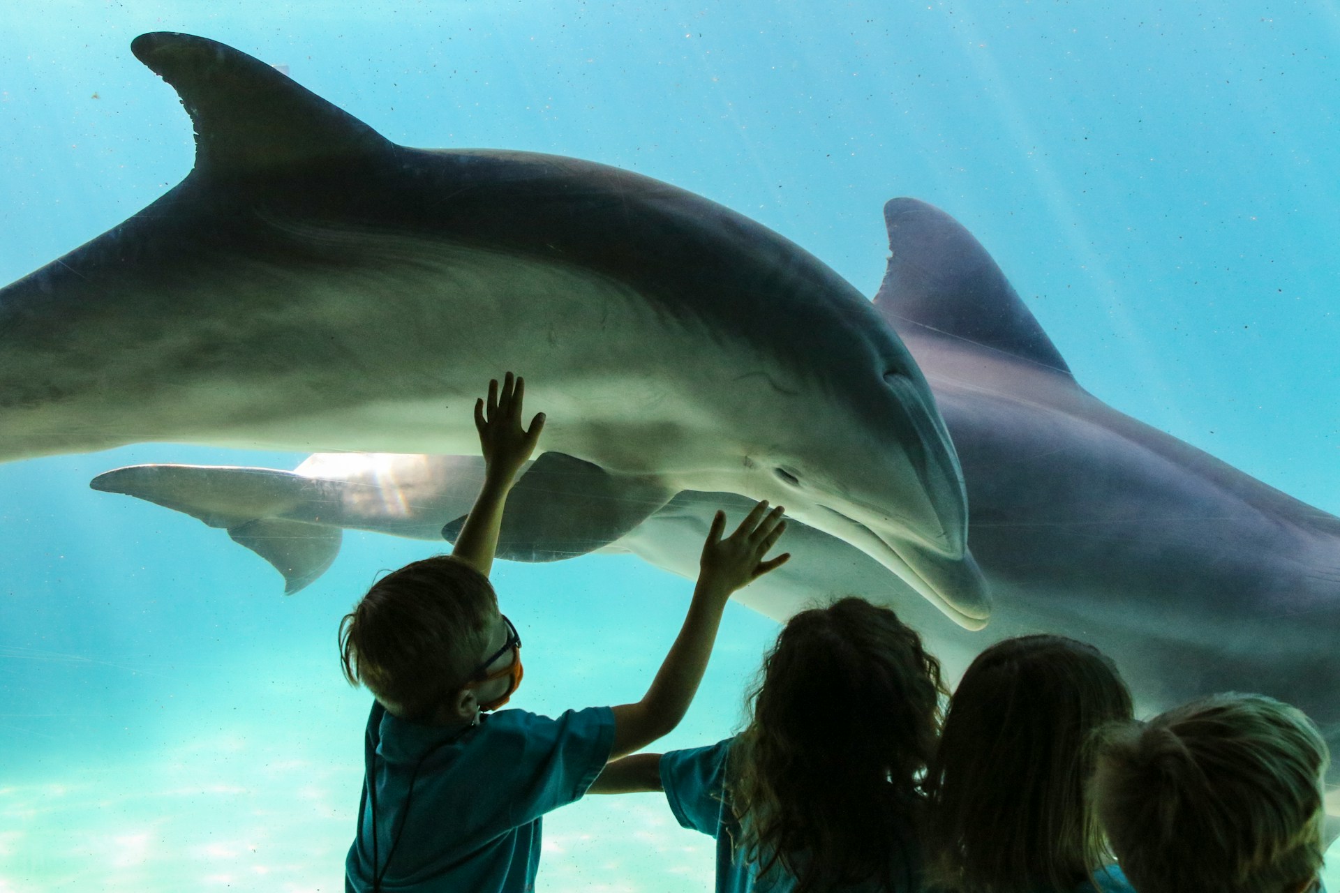 SeaWorld Orlando (©Mick Haupt)
