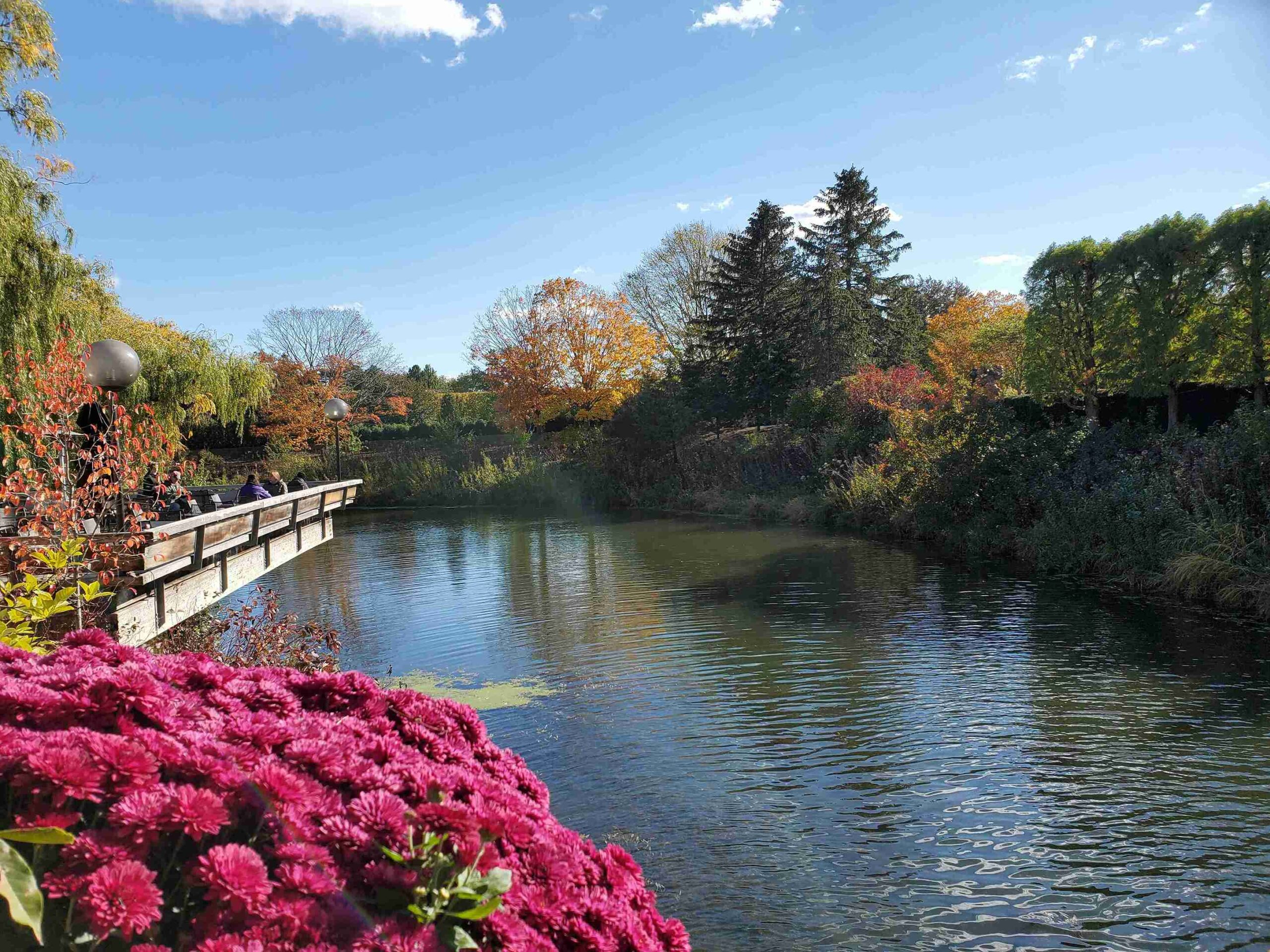 Chicago Botanic Garden (©Susan Schwendener)