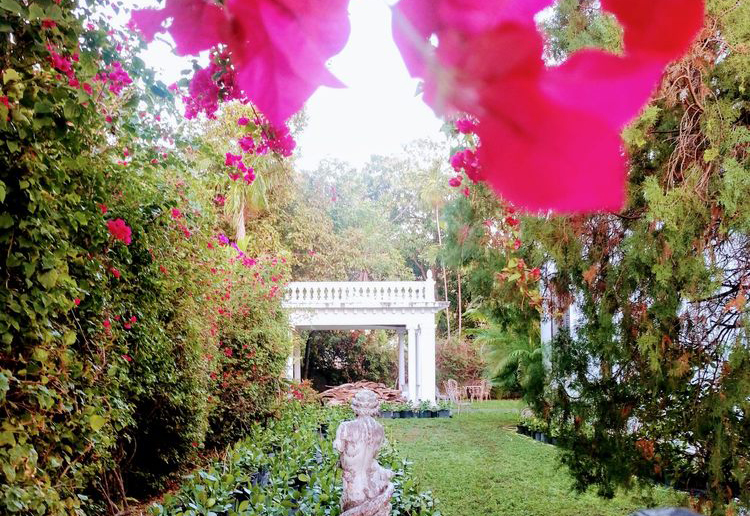 Villa Paula (©Sarah P Yelp)