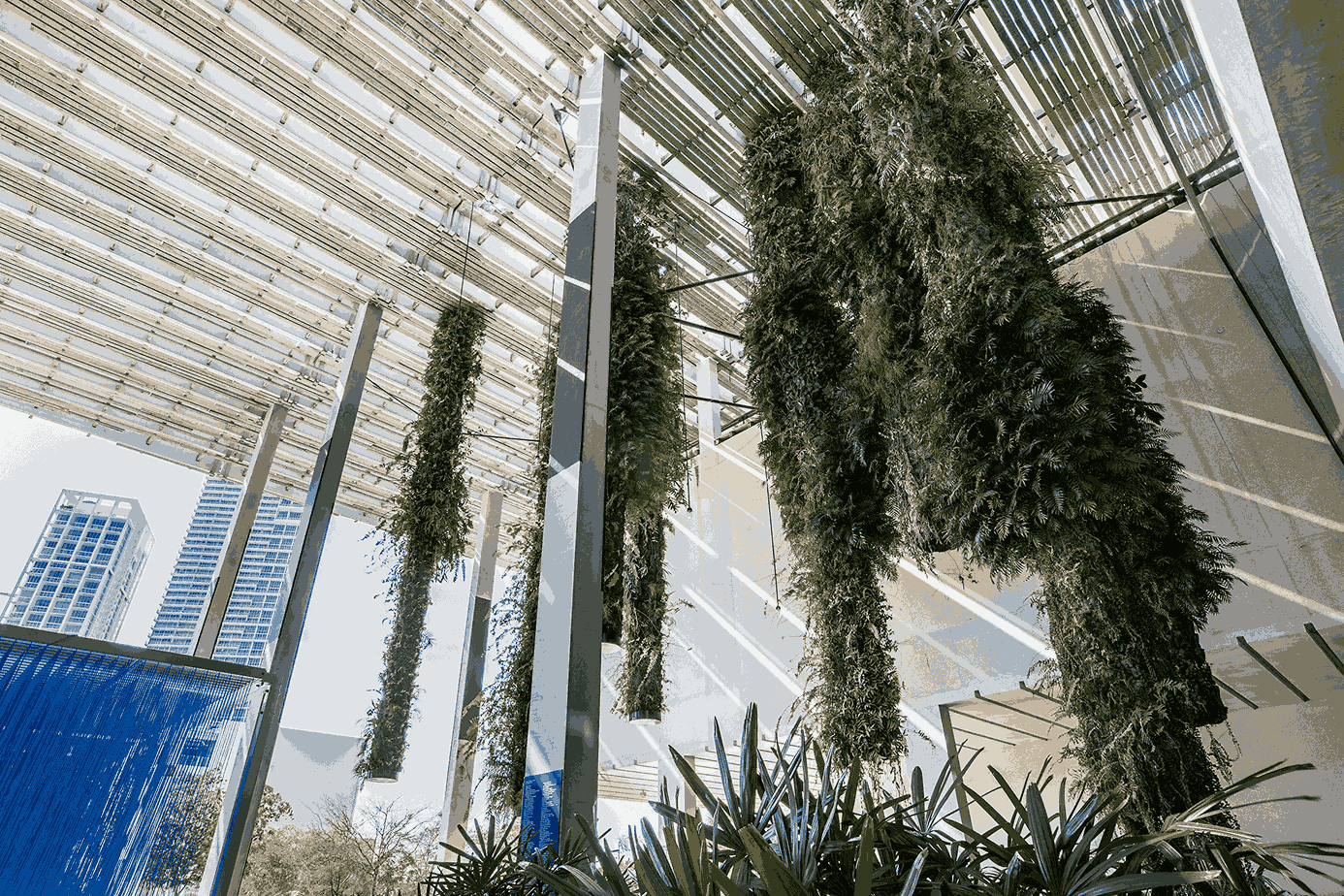Perez Art Museum Miami (Photo courtesy of the GMCVB – http://MiamiandMiamiBeach.com)