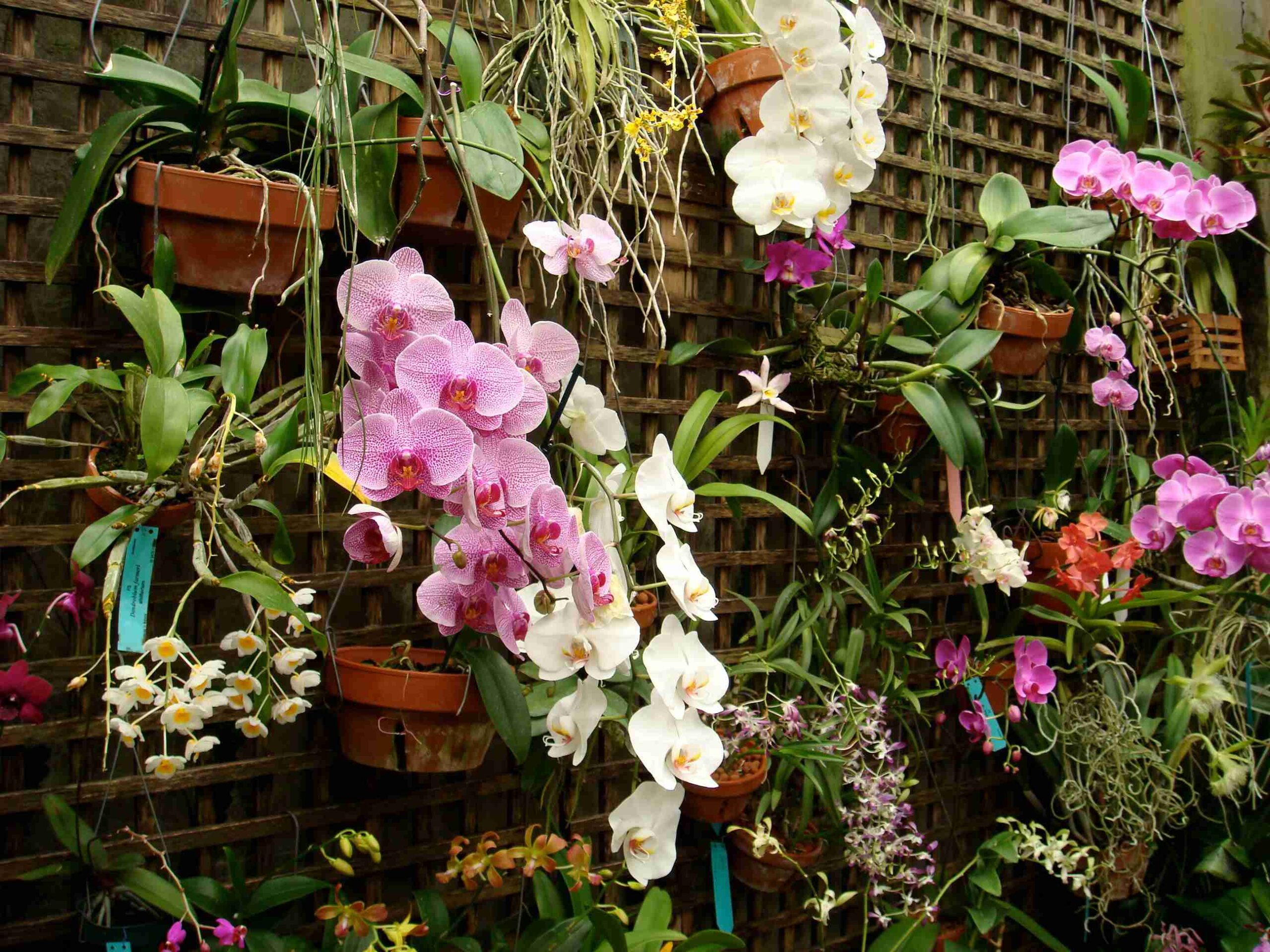 Fairchild Tropical Boanic Garden (Photo courtesy of the GMCVB – http://MiamiandMiamiBeach.com)