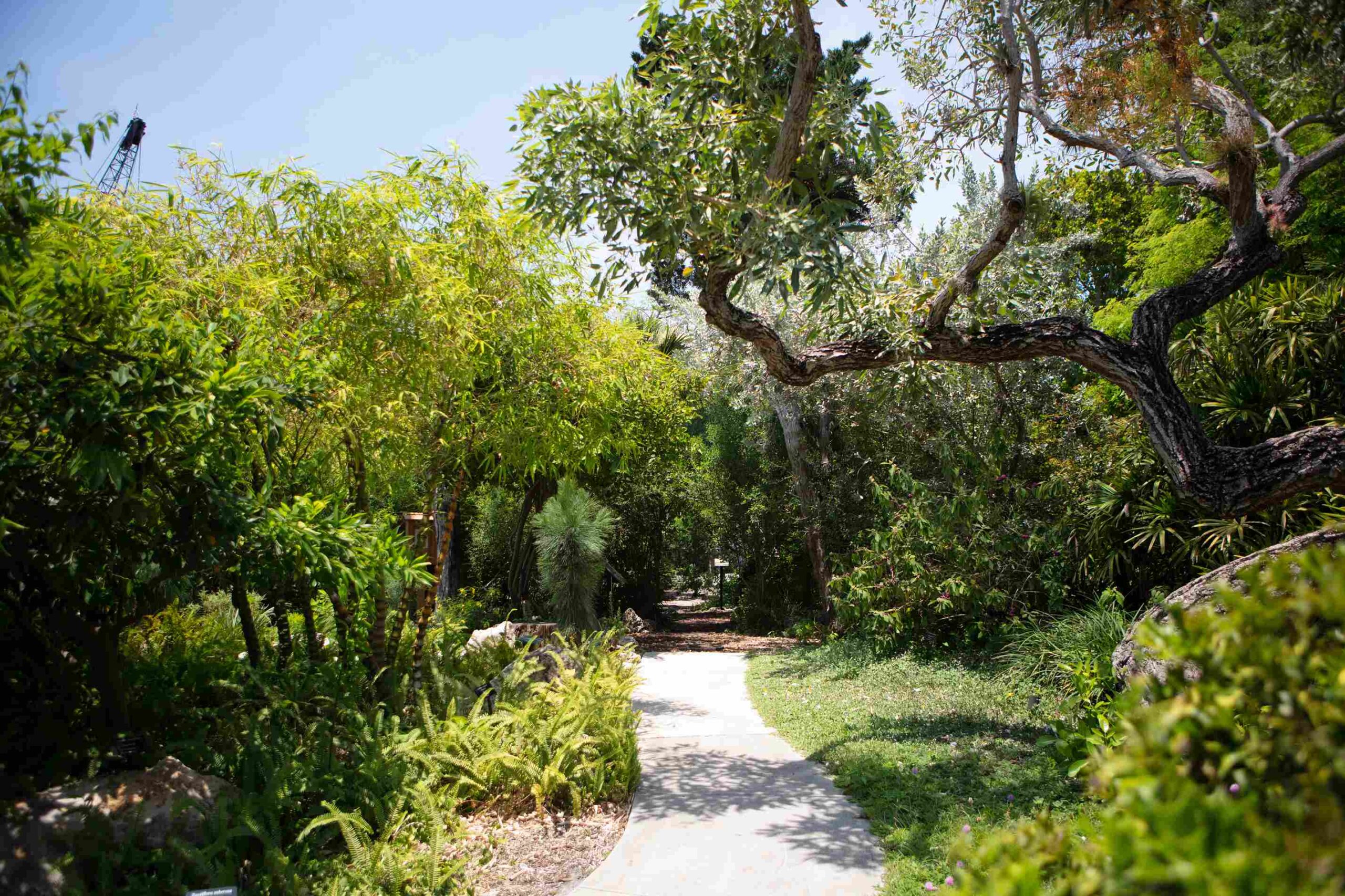South Miami Beach Botanical Garden (Courtesy Greater Miami Convention & Visitors Bureau)