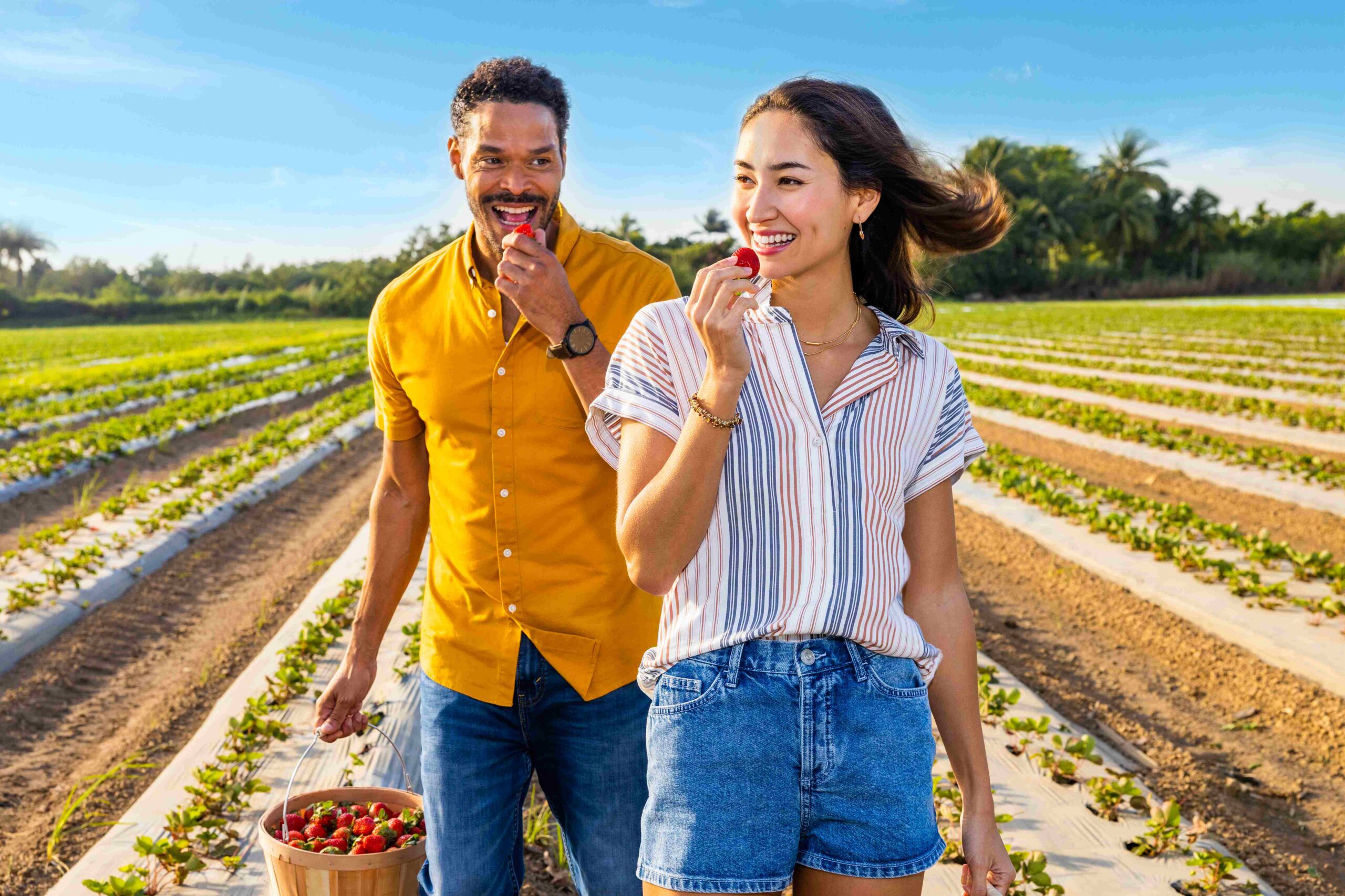 The Berry Farm (Courtesy Greater Miami Convention & Visitors Bureau)