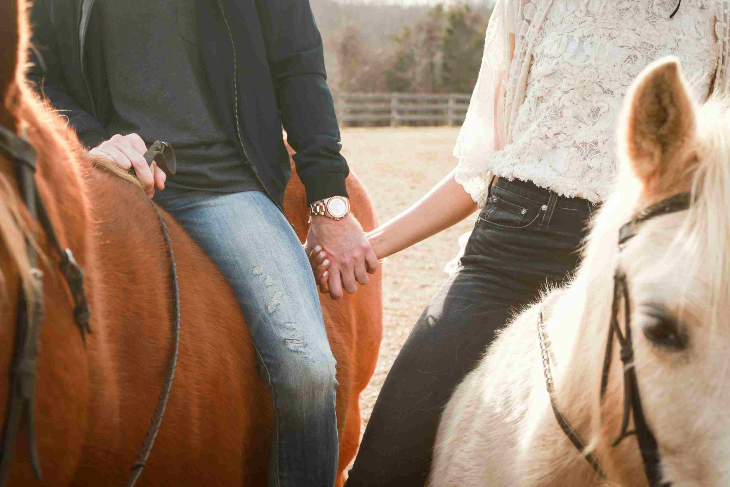 Horseback Riding (©Anna Claire Schellenberg)