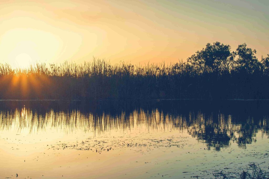 Everglades National Park (©Brice Cooper)