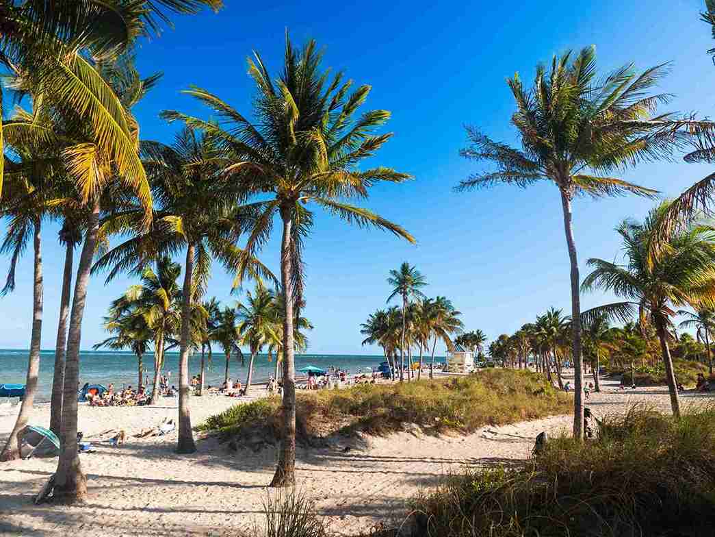 Beach View - Crandon Park - Key Biscayne (Courtesy Greater Miami Convention.& Visitors Bureau)