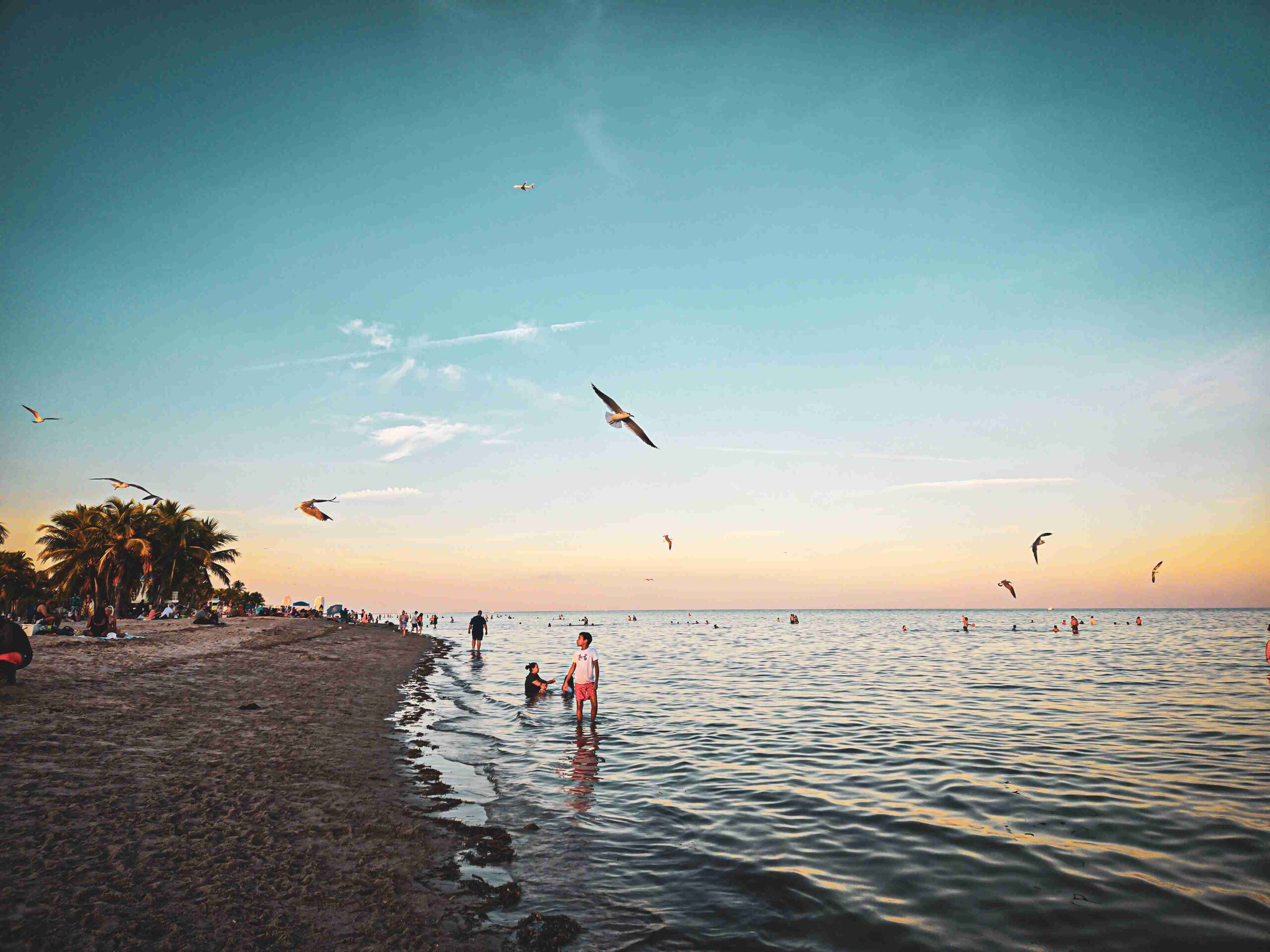 Dusk - Crandon Park - Key Biscayne (Courtesy GMCVB)