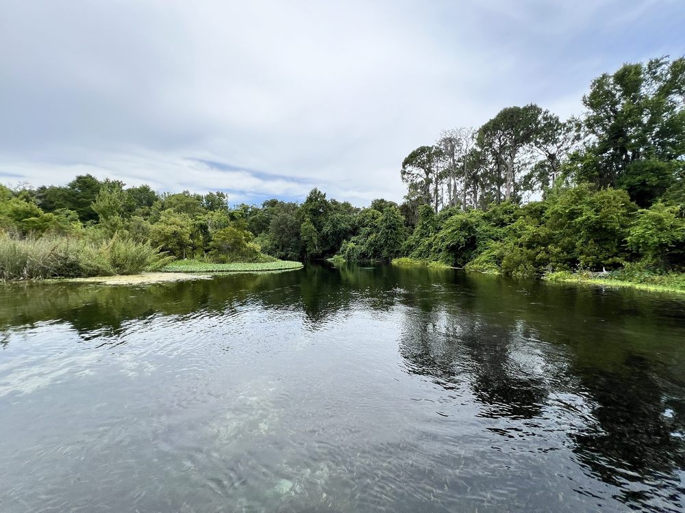 Weeki Wachee Springs State Park (©Amy T Yelp)