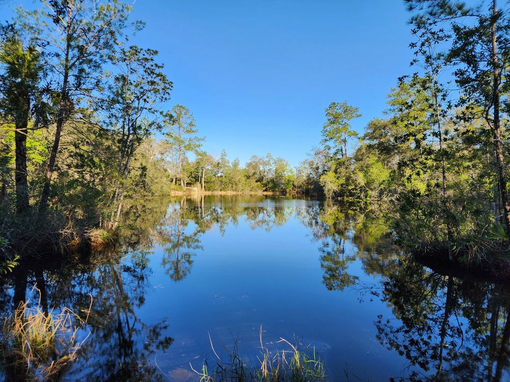 Wekiwa Springs State Park (©Kashif K Yelp)