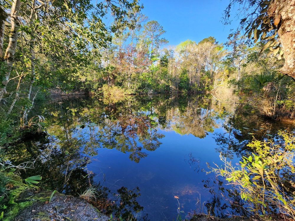 Wekiwa Springs (©Kashif K Yelp)