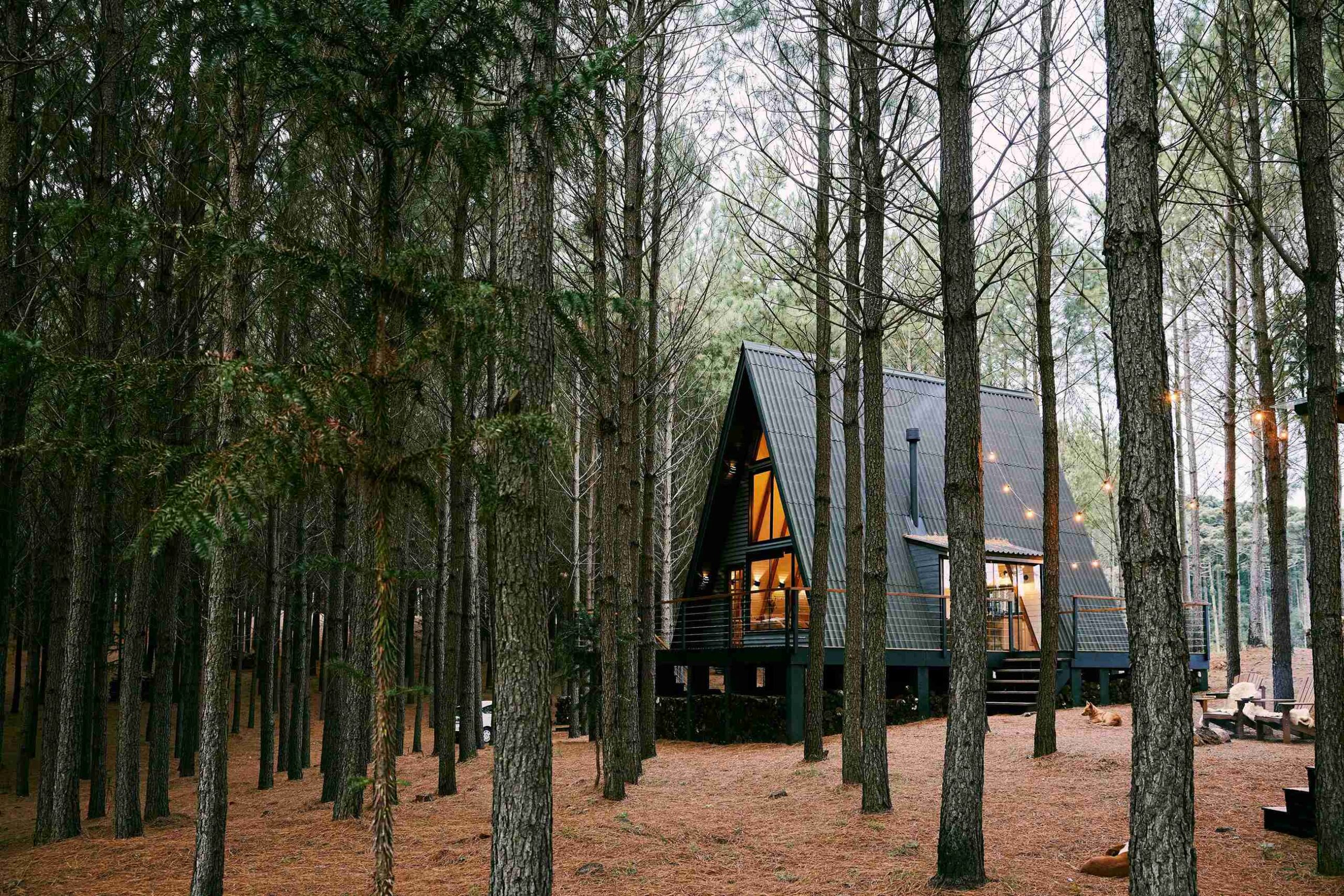 Vacation Home (©Natalia Blauth)