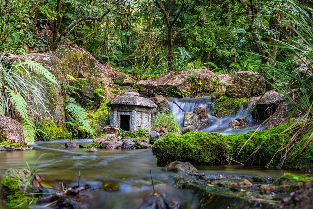 Morikami Museum and Japanese Gardens (©Christopher C Yelp)