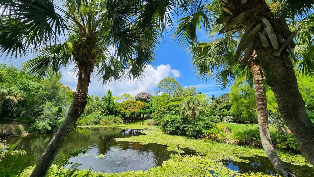 Mounts Botanical Garden (©Alyssa P Yelp)