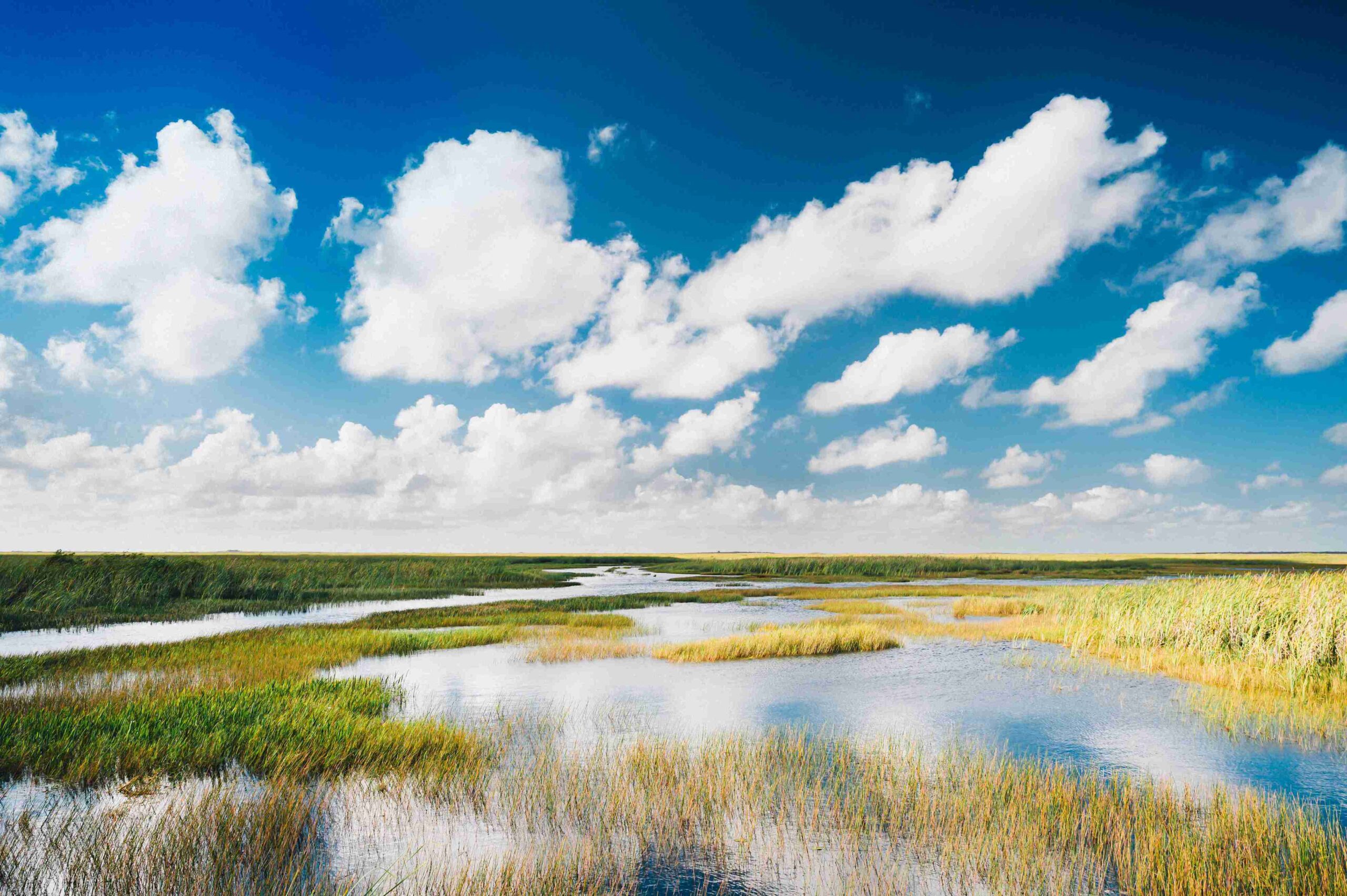 Marsh in Everglades National Park (Photo courtesy of the GMCVB – http://MiamiandMiamiBeach.com)