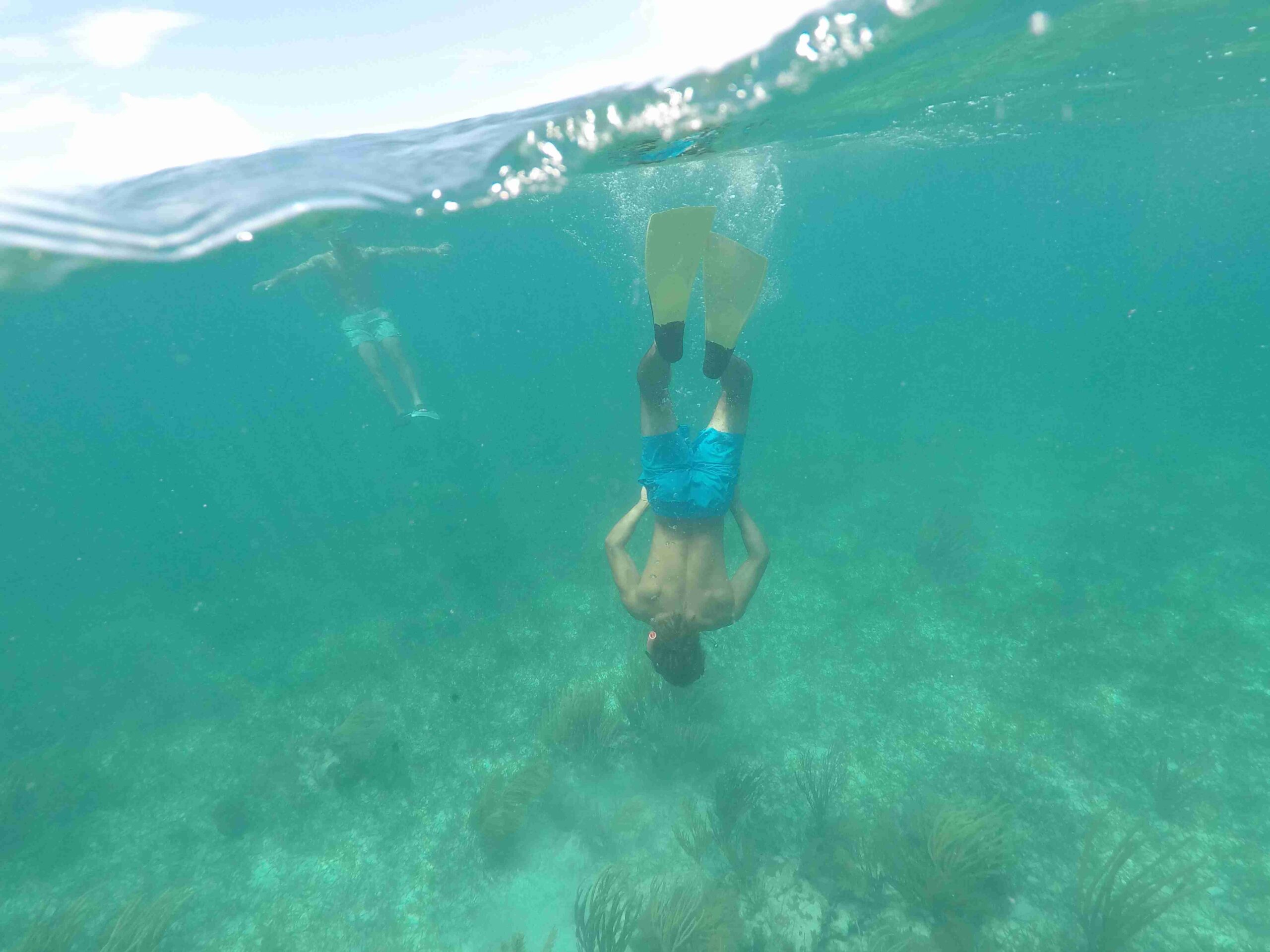 Snorkeling in Biscayne National Park (Photo courtesy of the GMCVB – http://MiamiandMiamiBeach.com)
