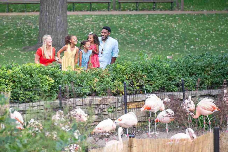 Lincoln Park Zoo (©Abel Arciniega)