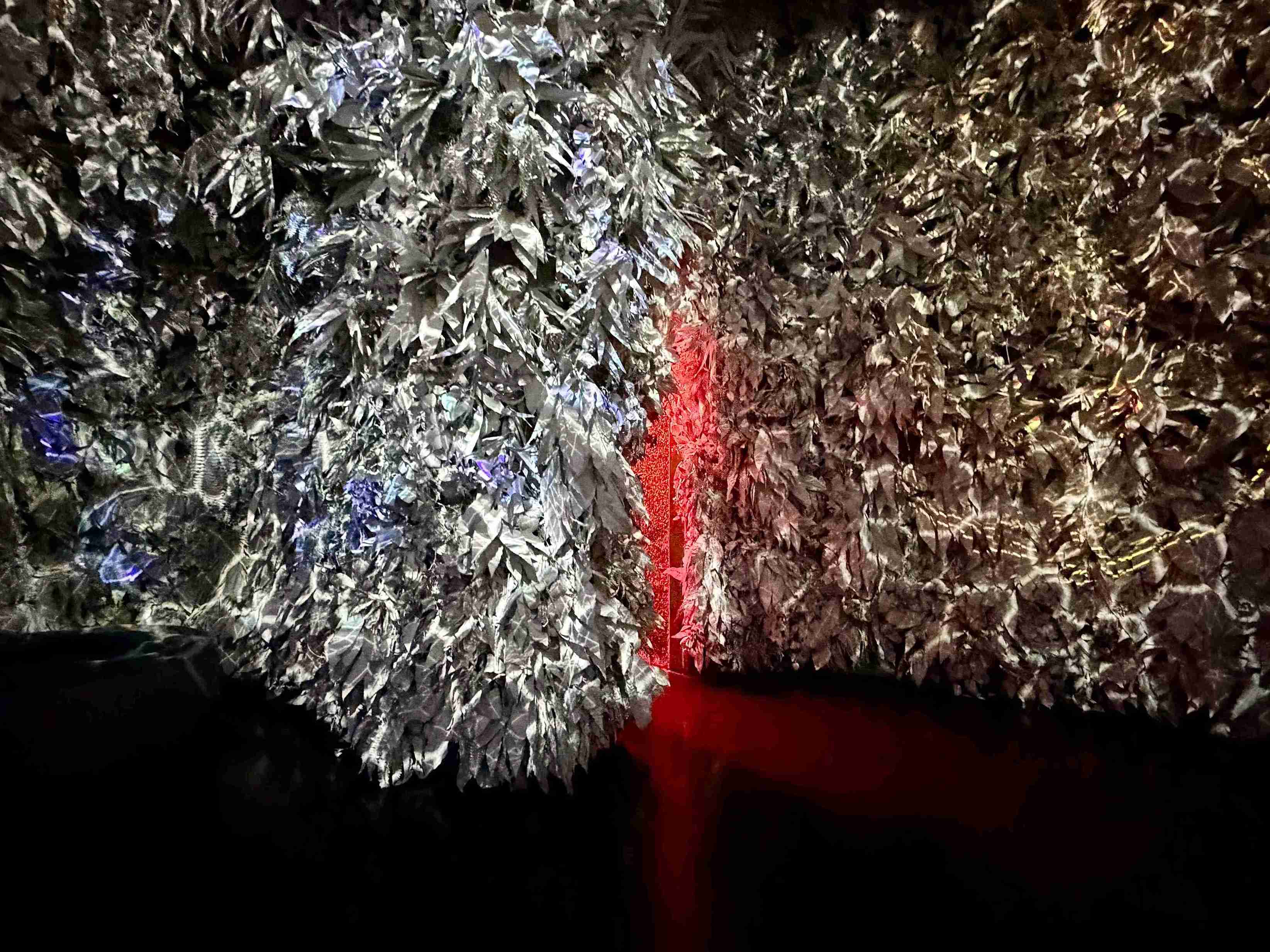 Meow Wolf's Omega Mart (©Melanie Lee)