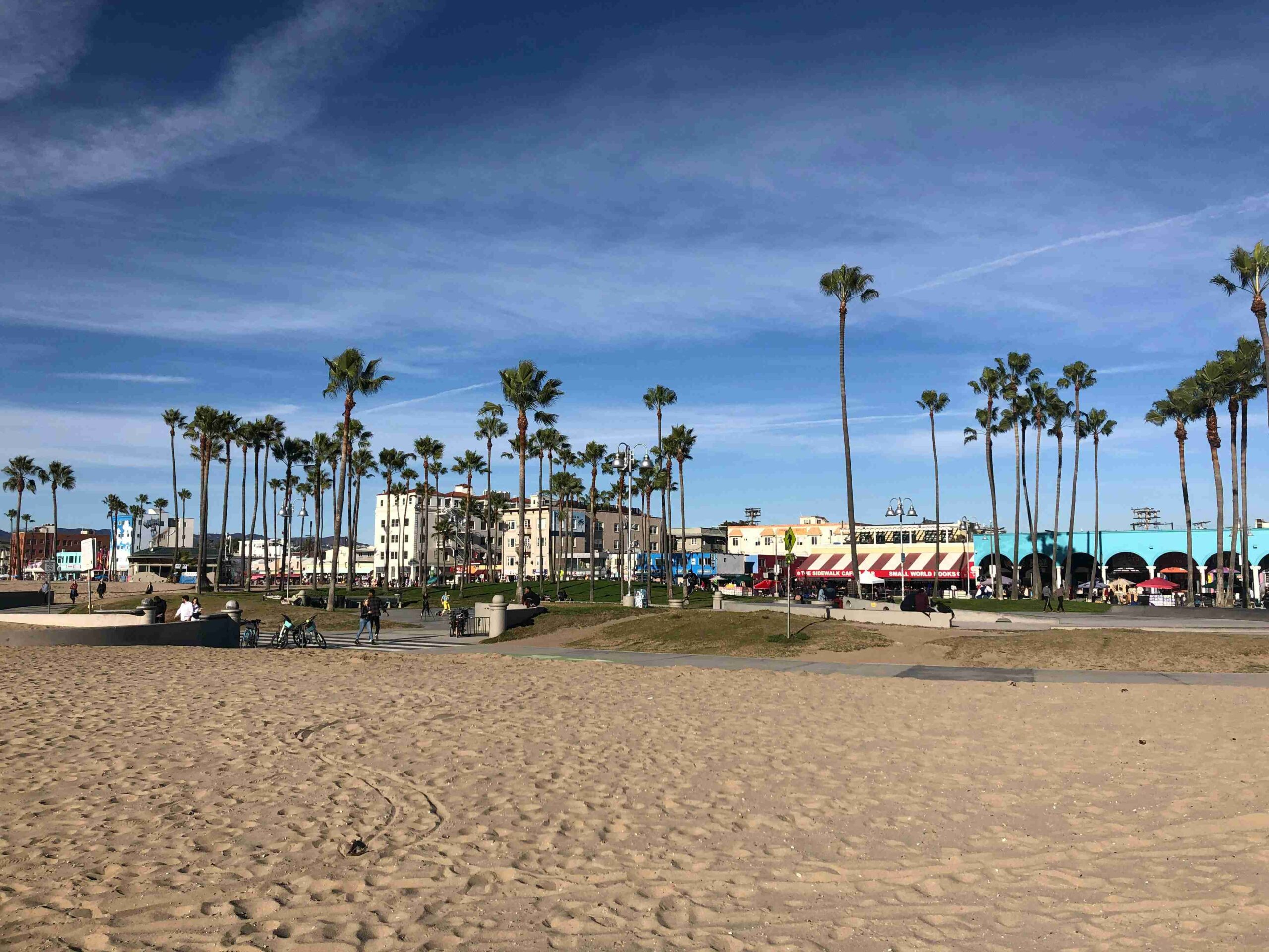 Venice Beach (©Sanika Kumar)