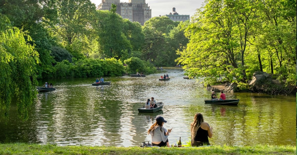 Central Park (©Harry GIllen)
