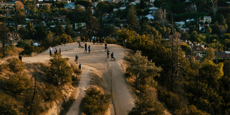 Griffith Park Trail (©Lisha Riabinina)