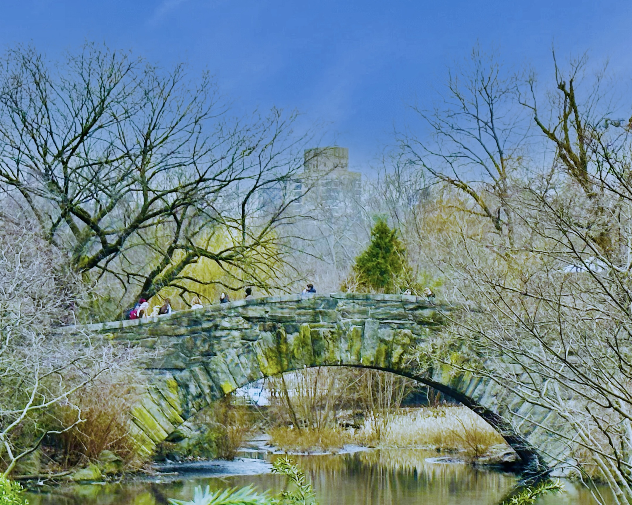 Central Park (©Melanie Lee)