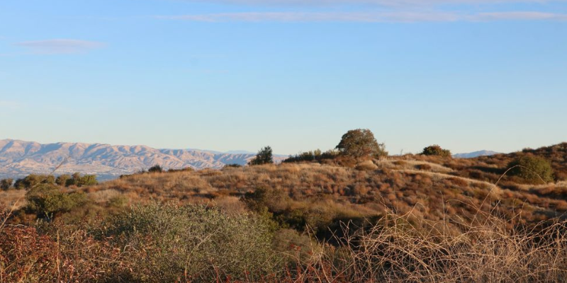 Topanga State Park (©Vahagn K Yelp)