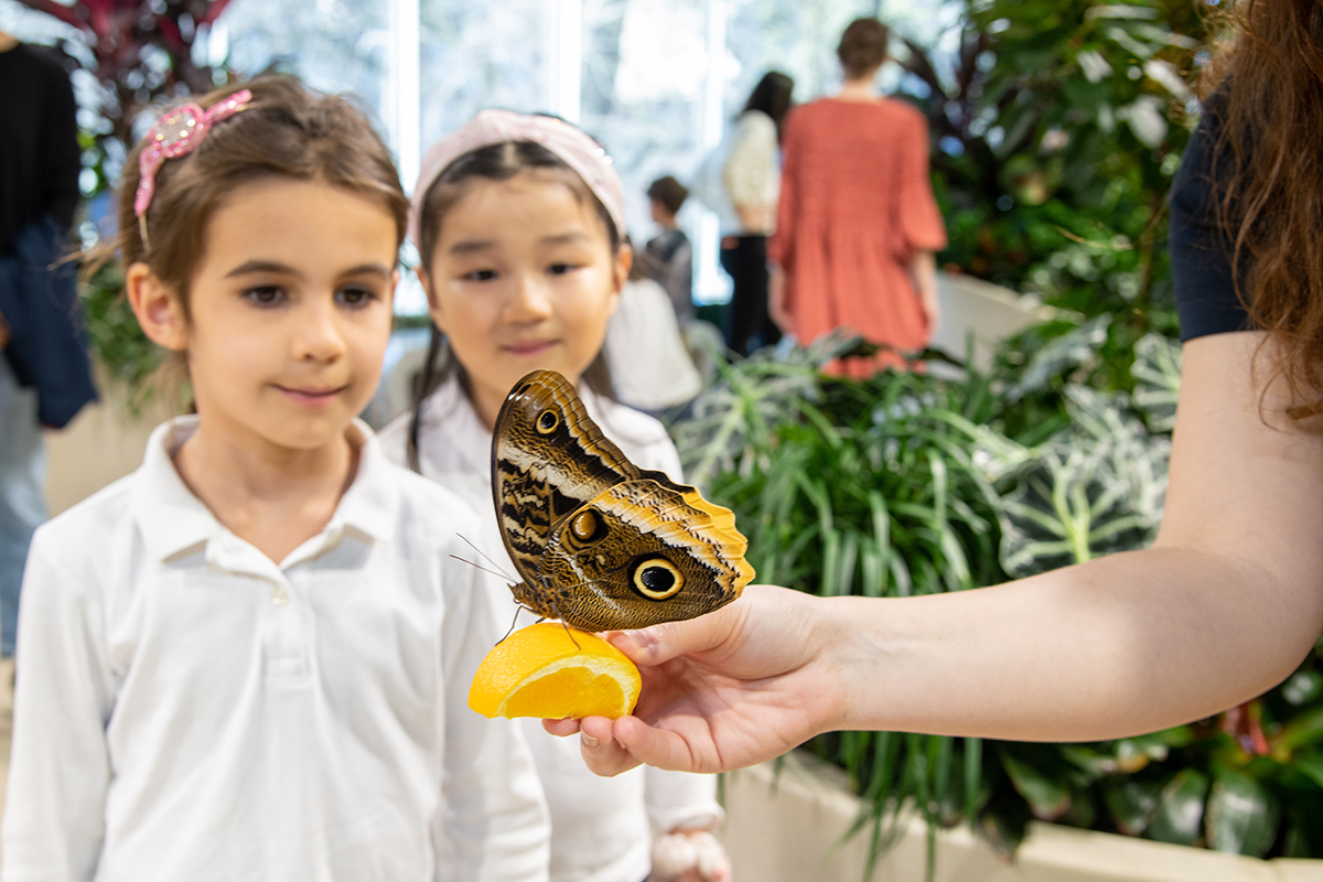 The American Museum of Natural History's Gilder Center (©Denis Finnin/© AMNH)