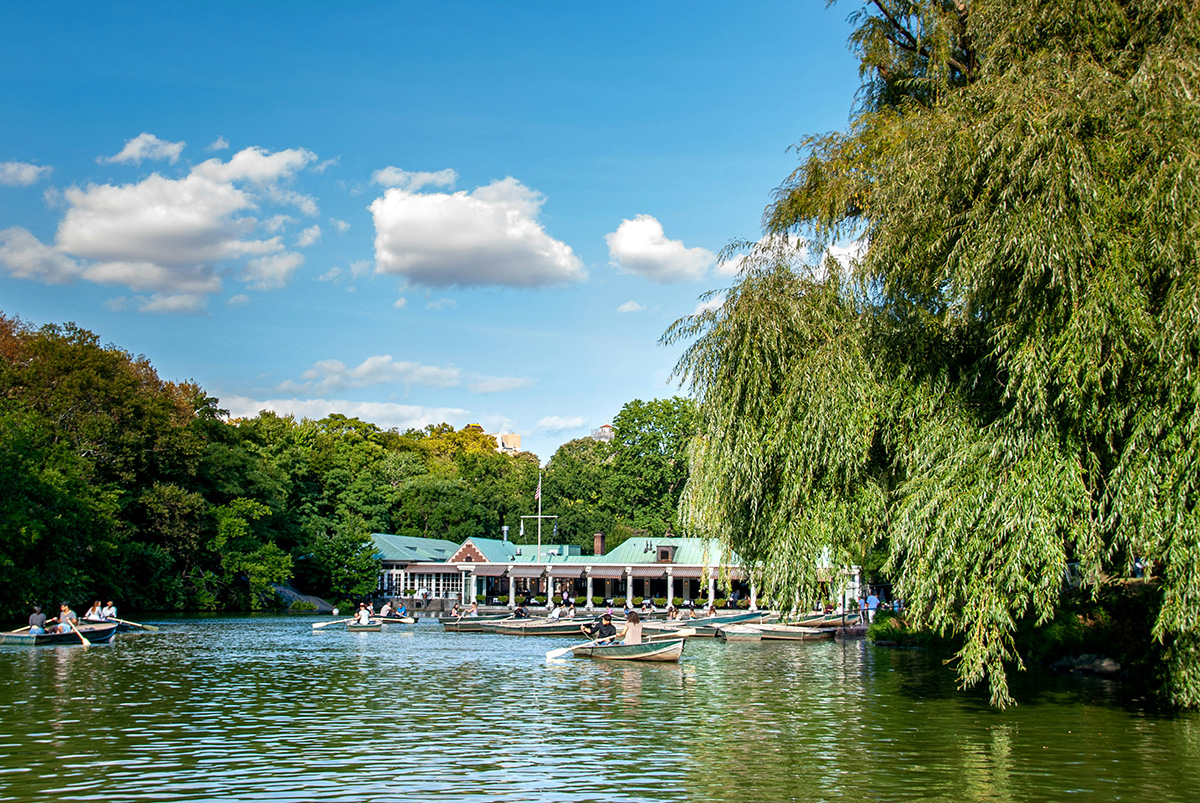 Central Park (©David Vives)