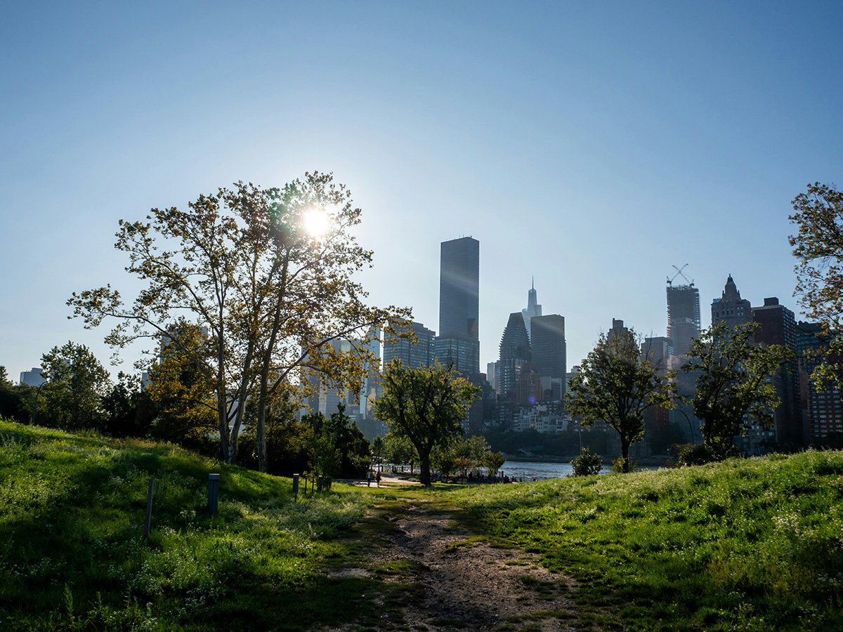 Roosevelt Island (©Jeffrey Betts)