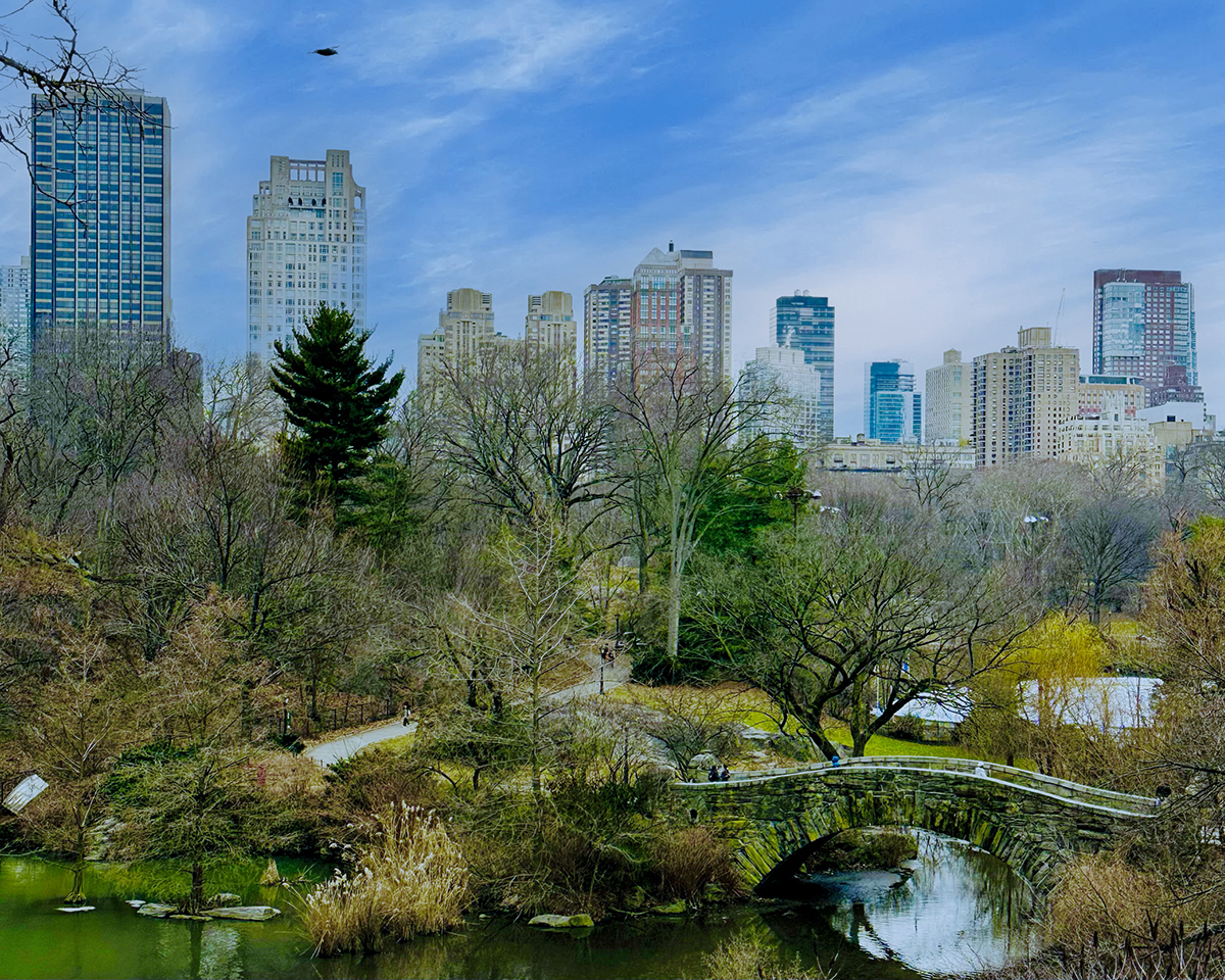 Central Park (©Melanie Lee)