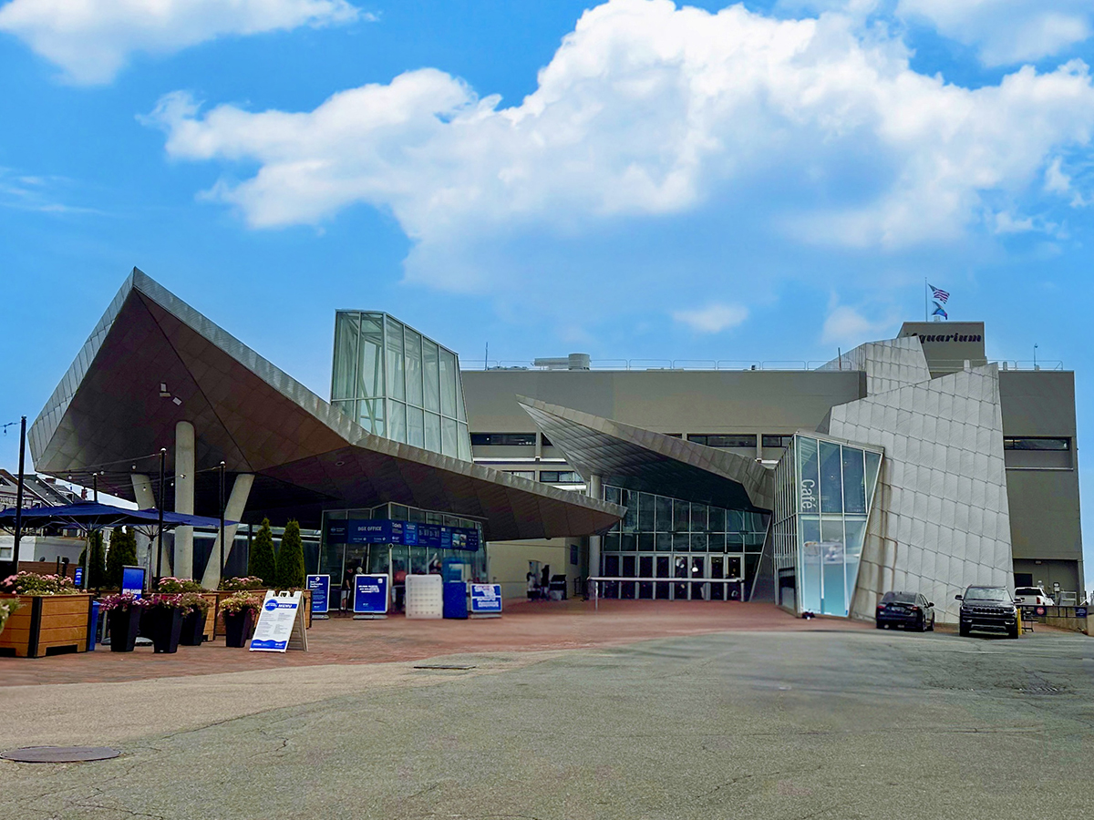 New England Aquarium (©Melanie Lee)