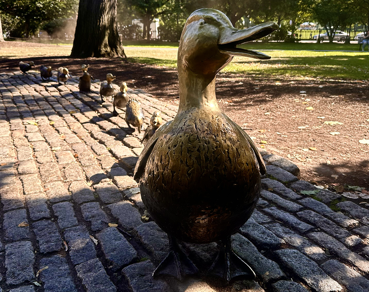 Boston Public Garden (©Melanie Lee)