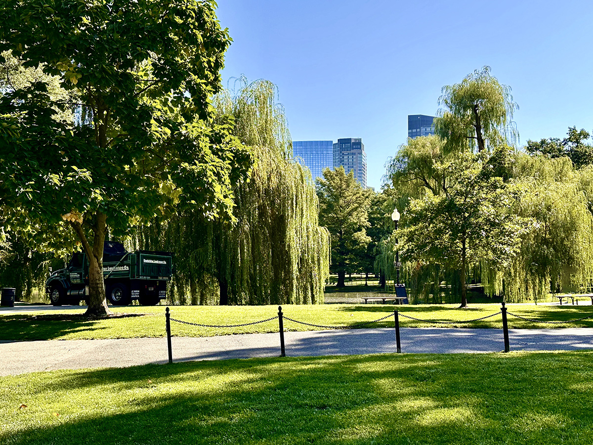 Boston Public Garden (©Melanie Lee)