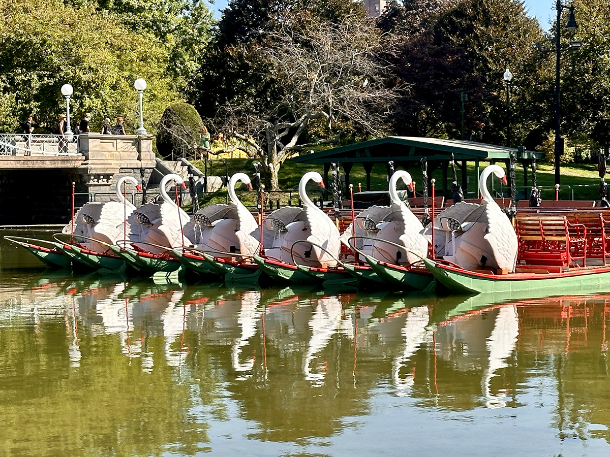 Boston Public Garden (©Melanie Lee)