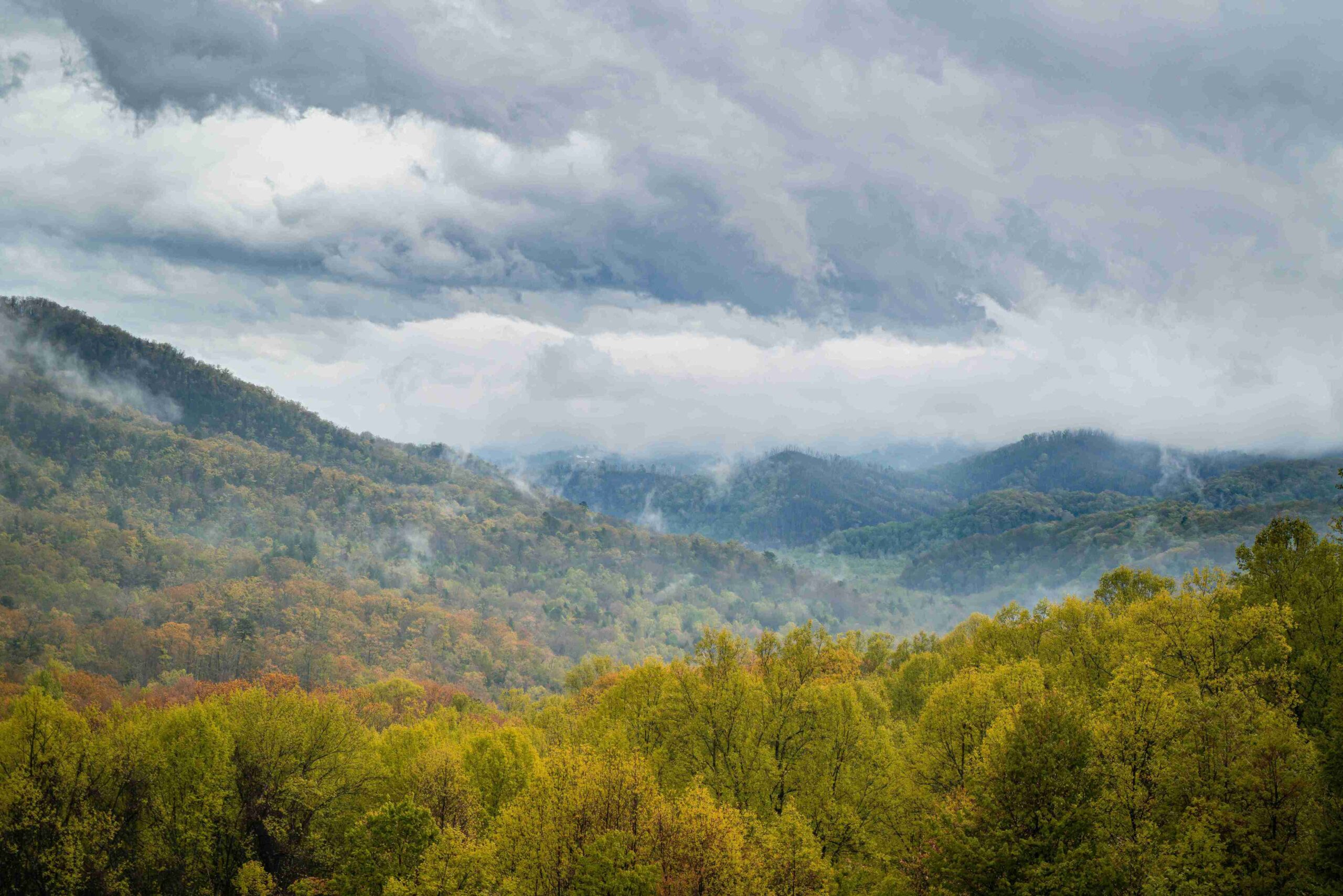 Great Smoky Mountains National Park (©A.N.V.E.S.H.)