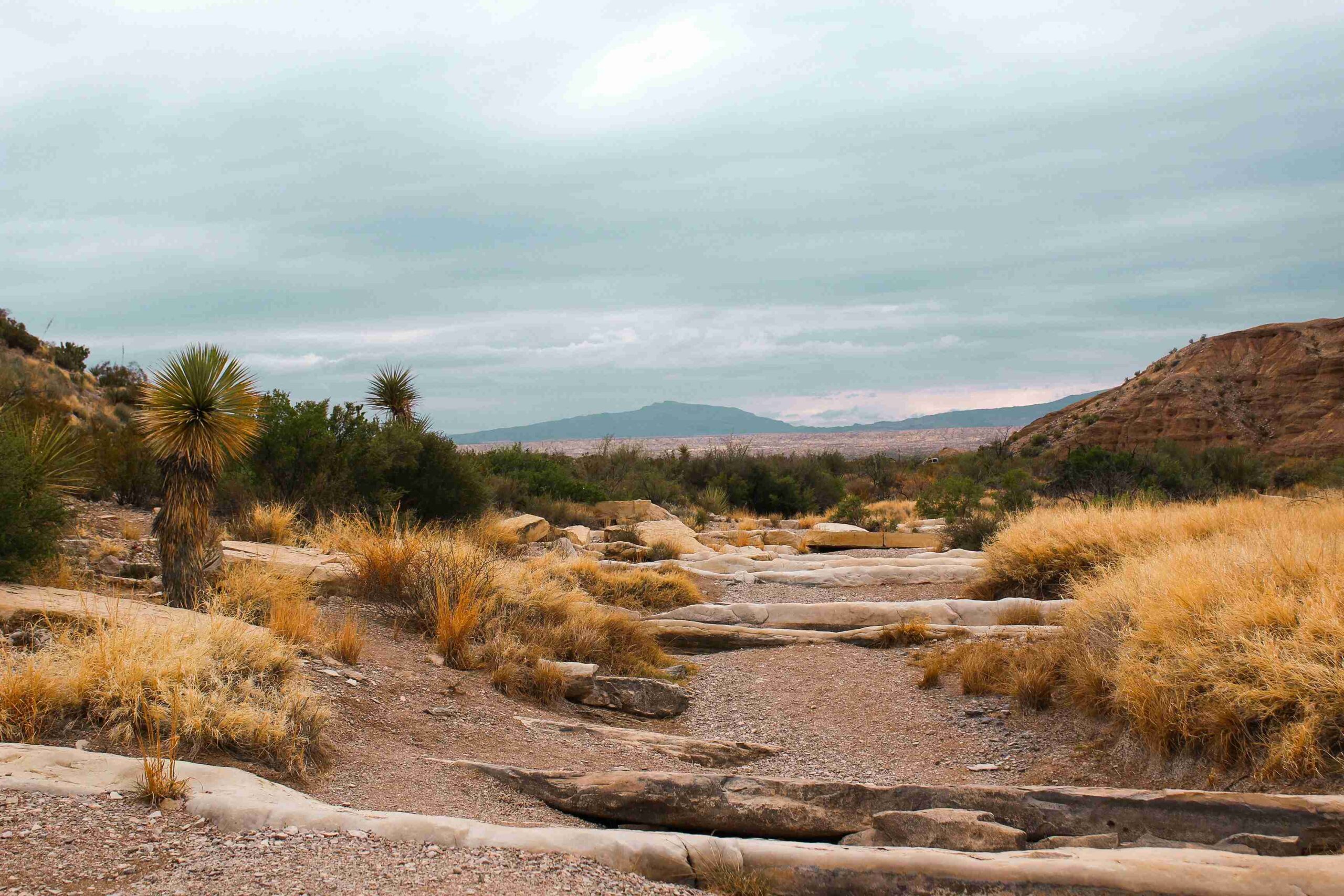 Big Bend National Park (©Katie Polansky)