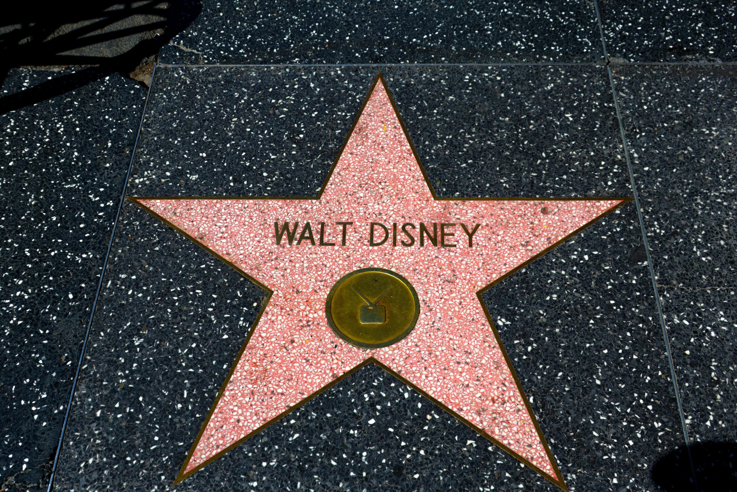 Hollywood Walk of Fame (©Meg Von Haartman)