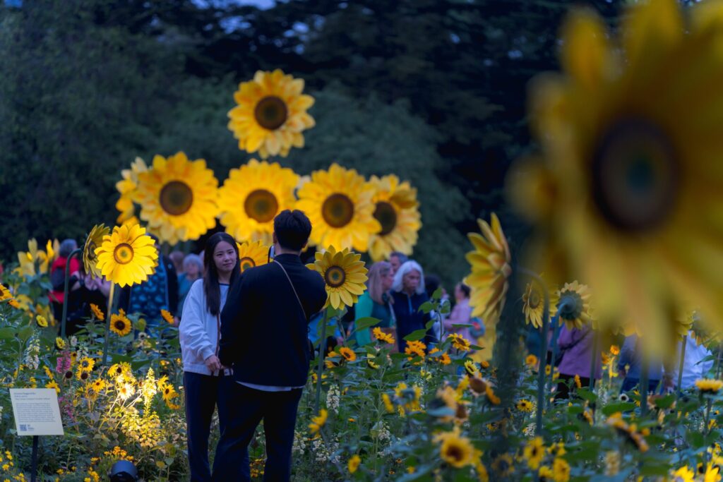 Van Gogh's Flowers (Courtesy New York Botanical Garden)