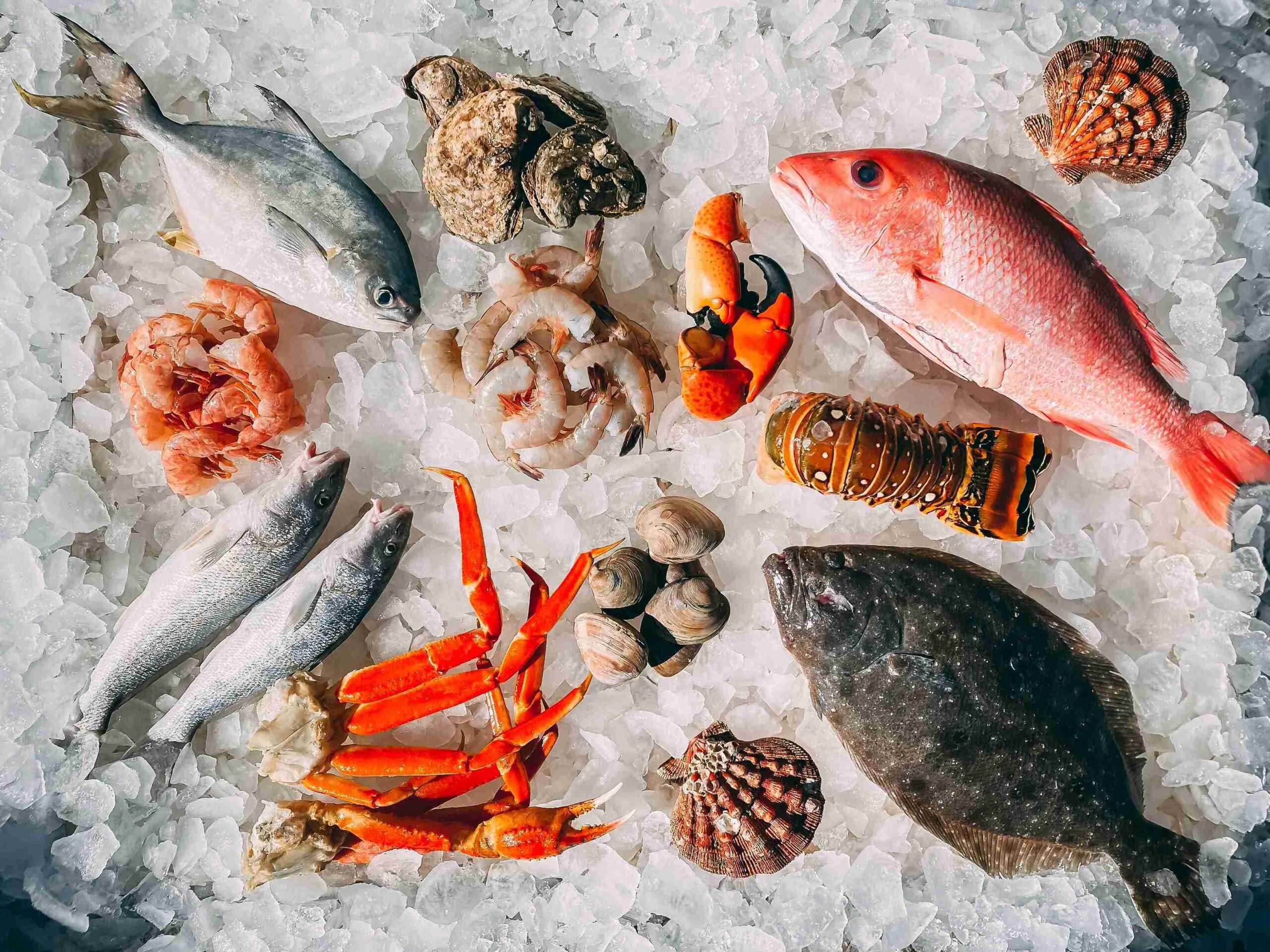 Seafood (©Mike Bergmann)