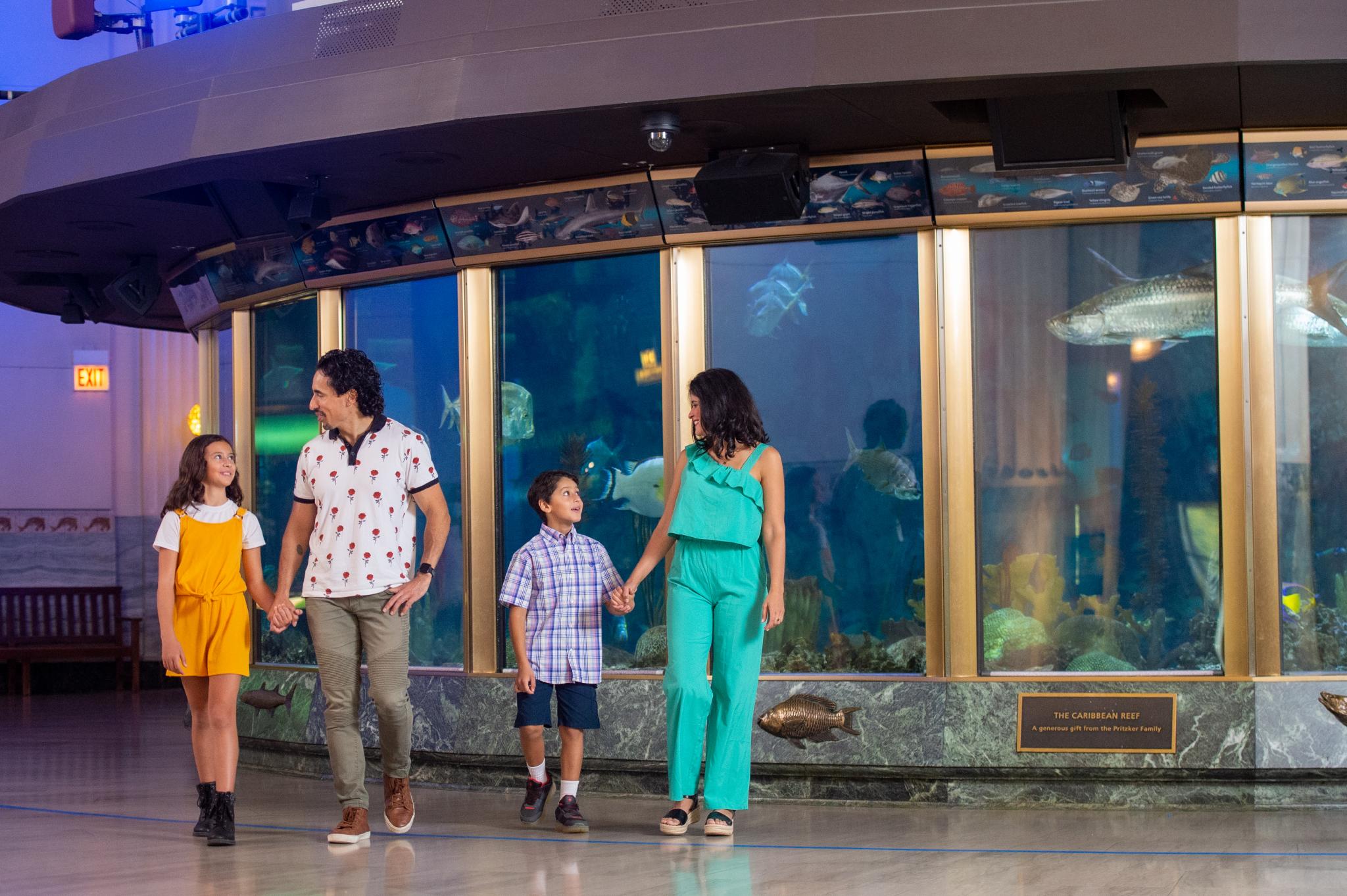 Shedd Aquarium (©Abel Arciniega)