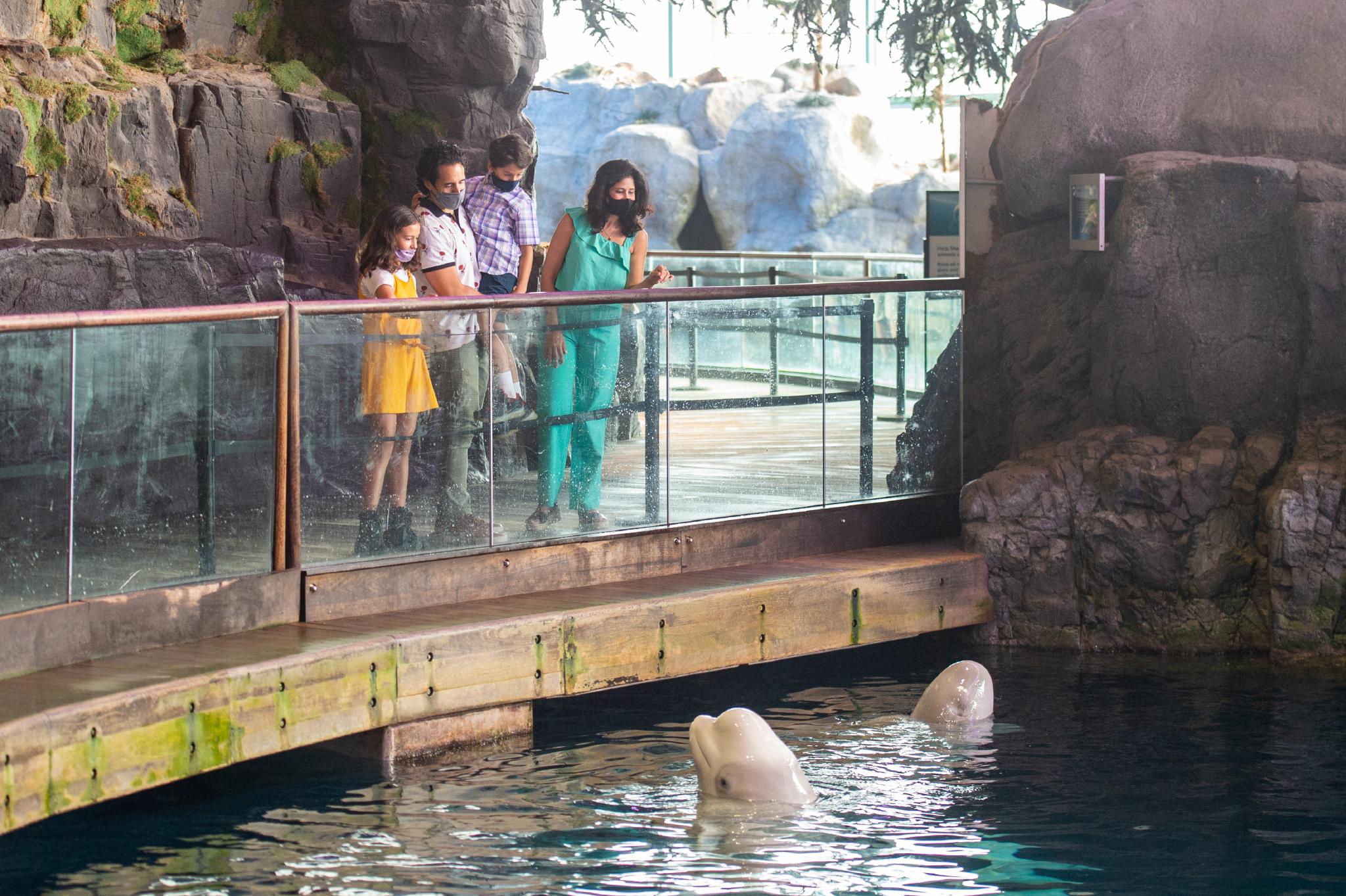 Shedd Aquarium (©Abel Arciniega)