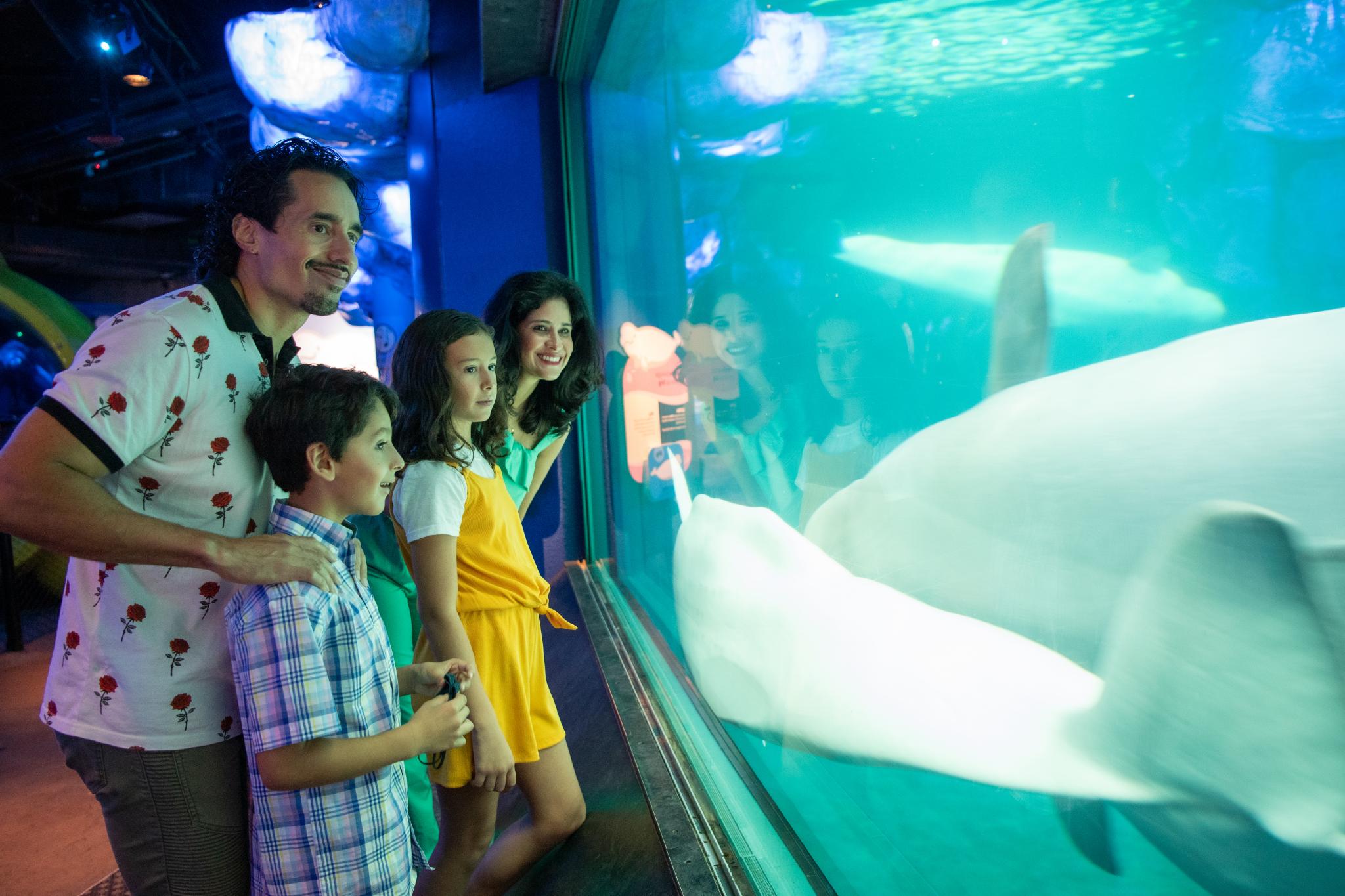 Shedd Aquarium (©Abel Arciniega)