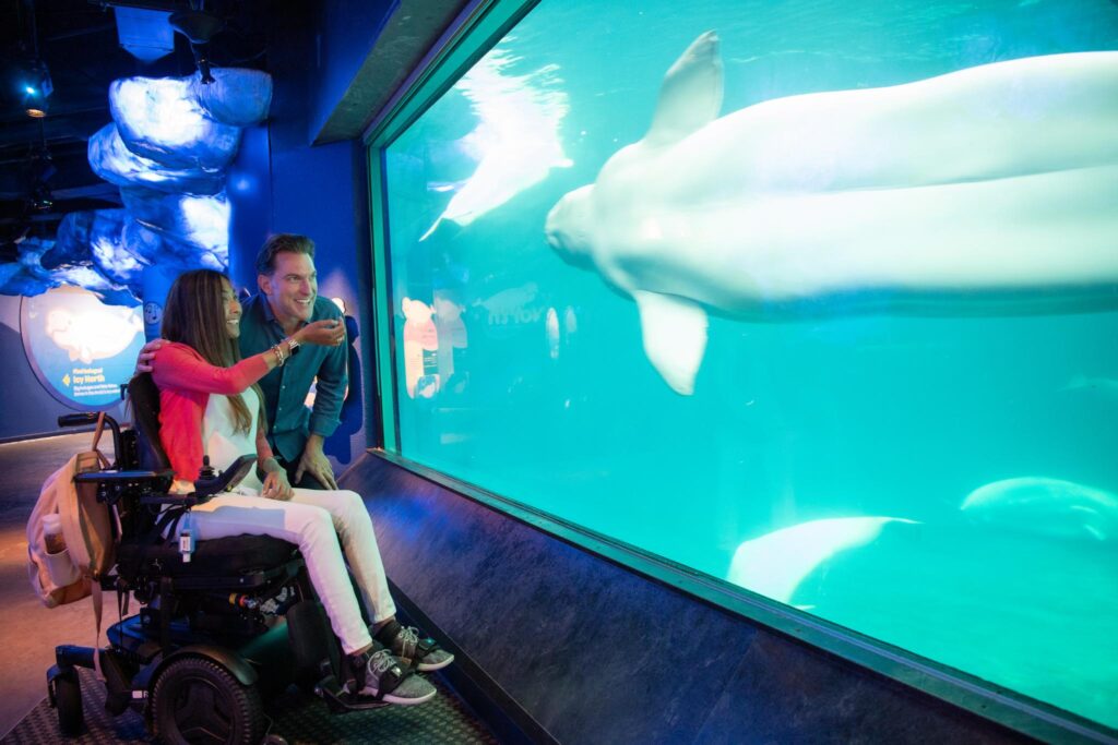 Shedd Aquarium (©Abel Arciniega)