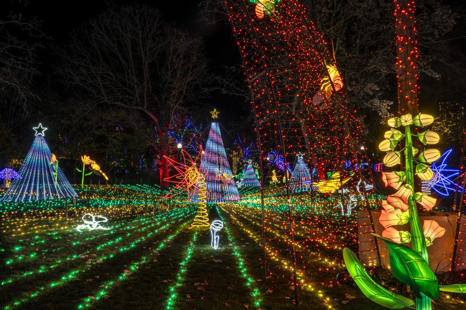 Lincoln Park ZooLights (©Brandon Tucker)