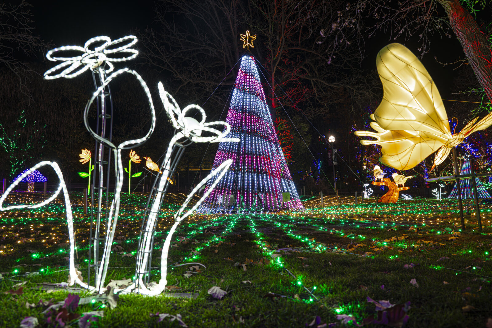 Lincoln Park ZooLights (©Brandon Tucker)