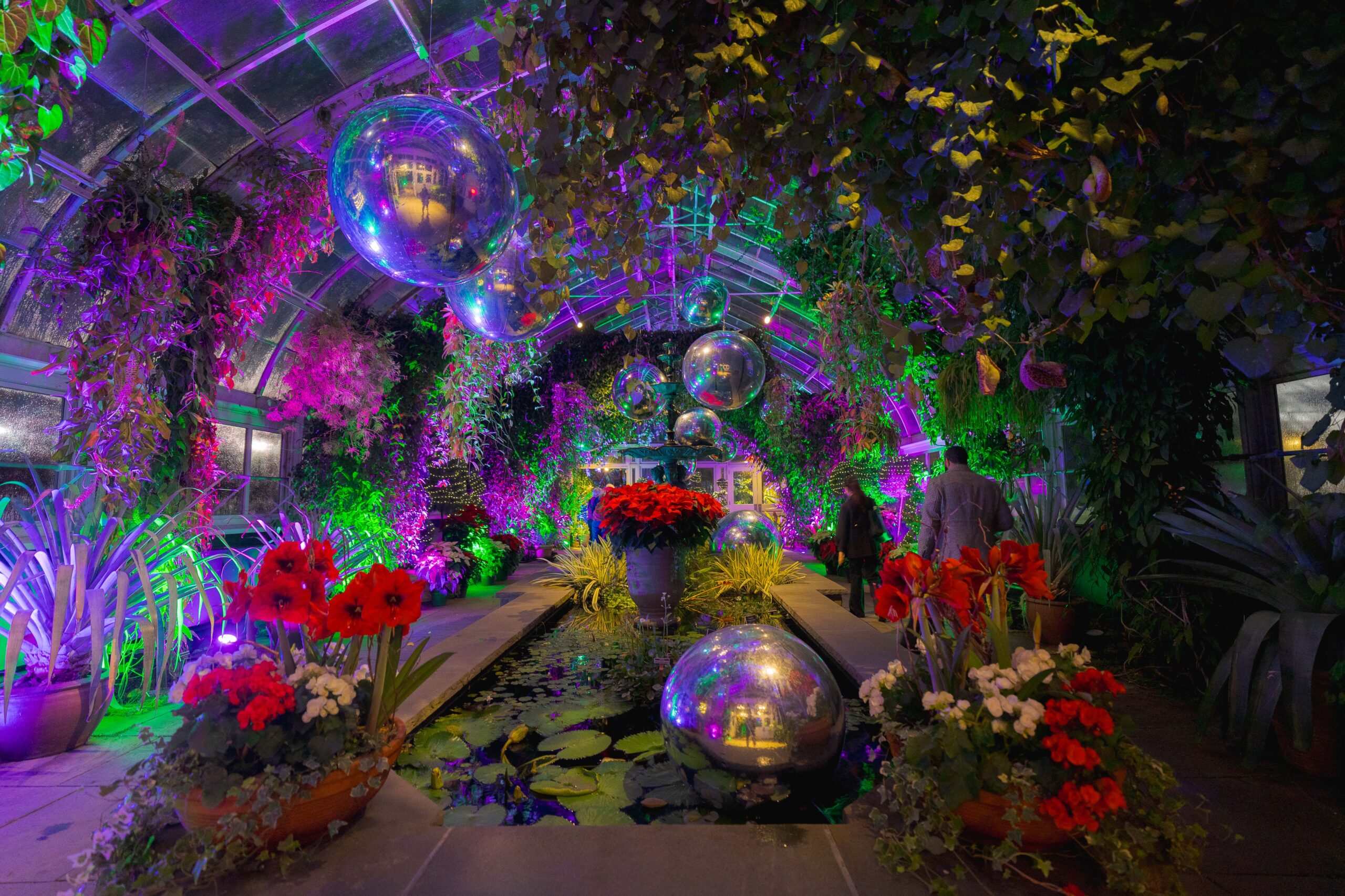 Holiday Train Nights (Courtesy New York Botanical Garden)