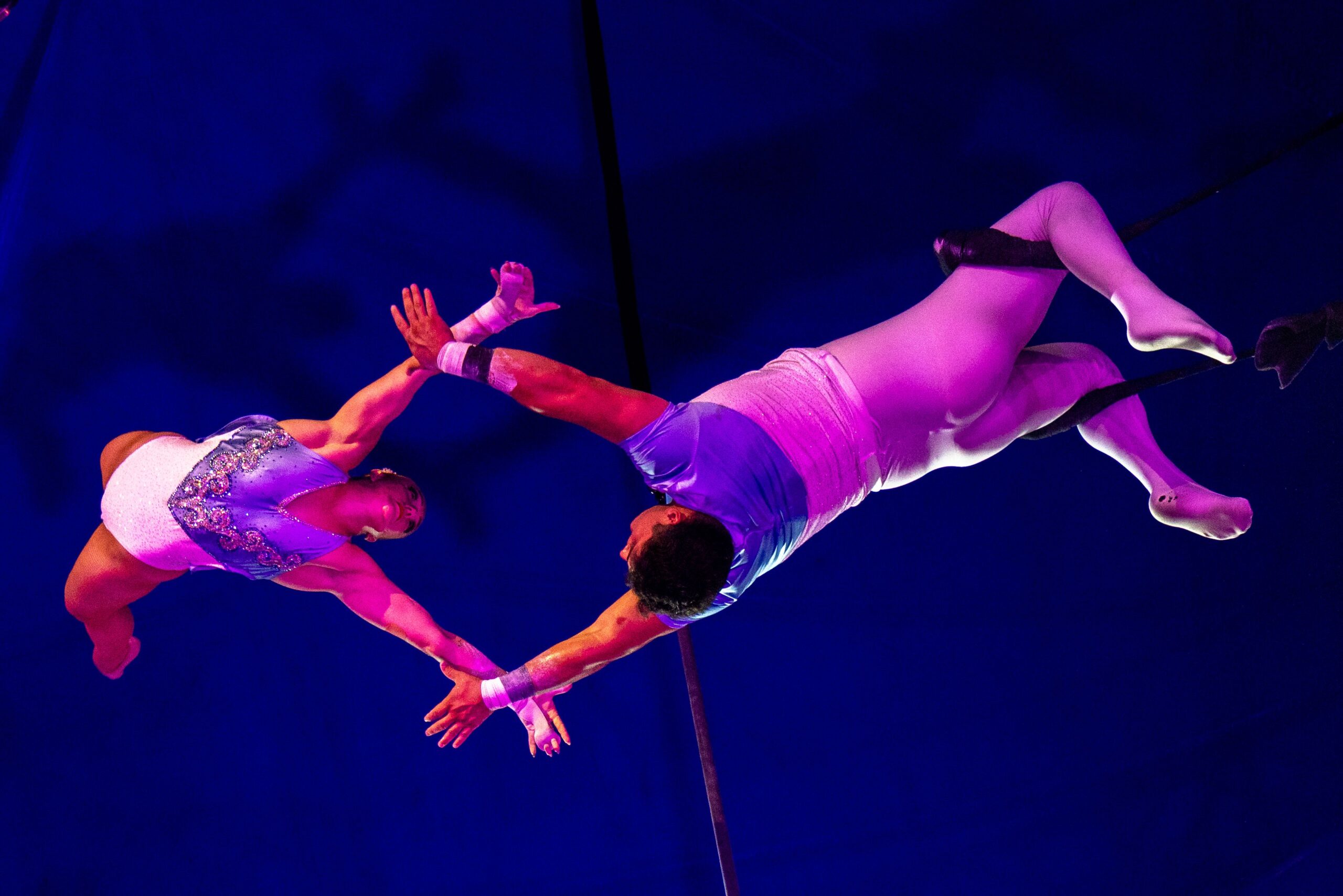 (Courtesy Do Portugal Circus)